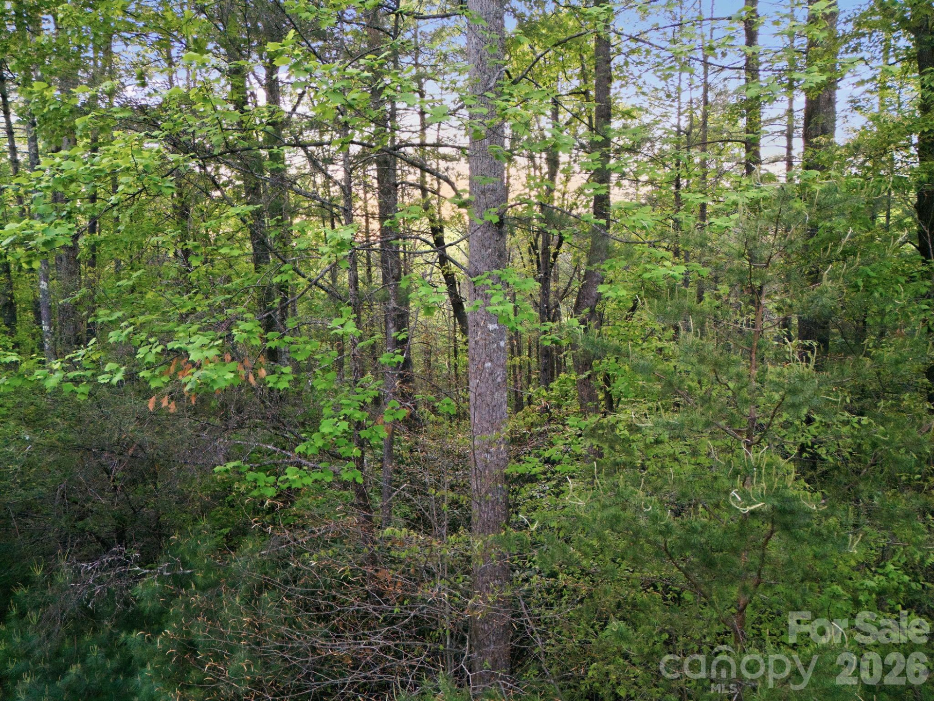 Lot 40 Larkhaven Drive - Photo 15