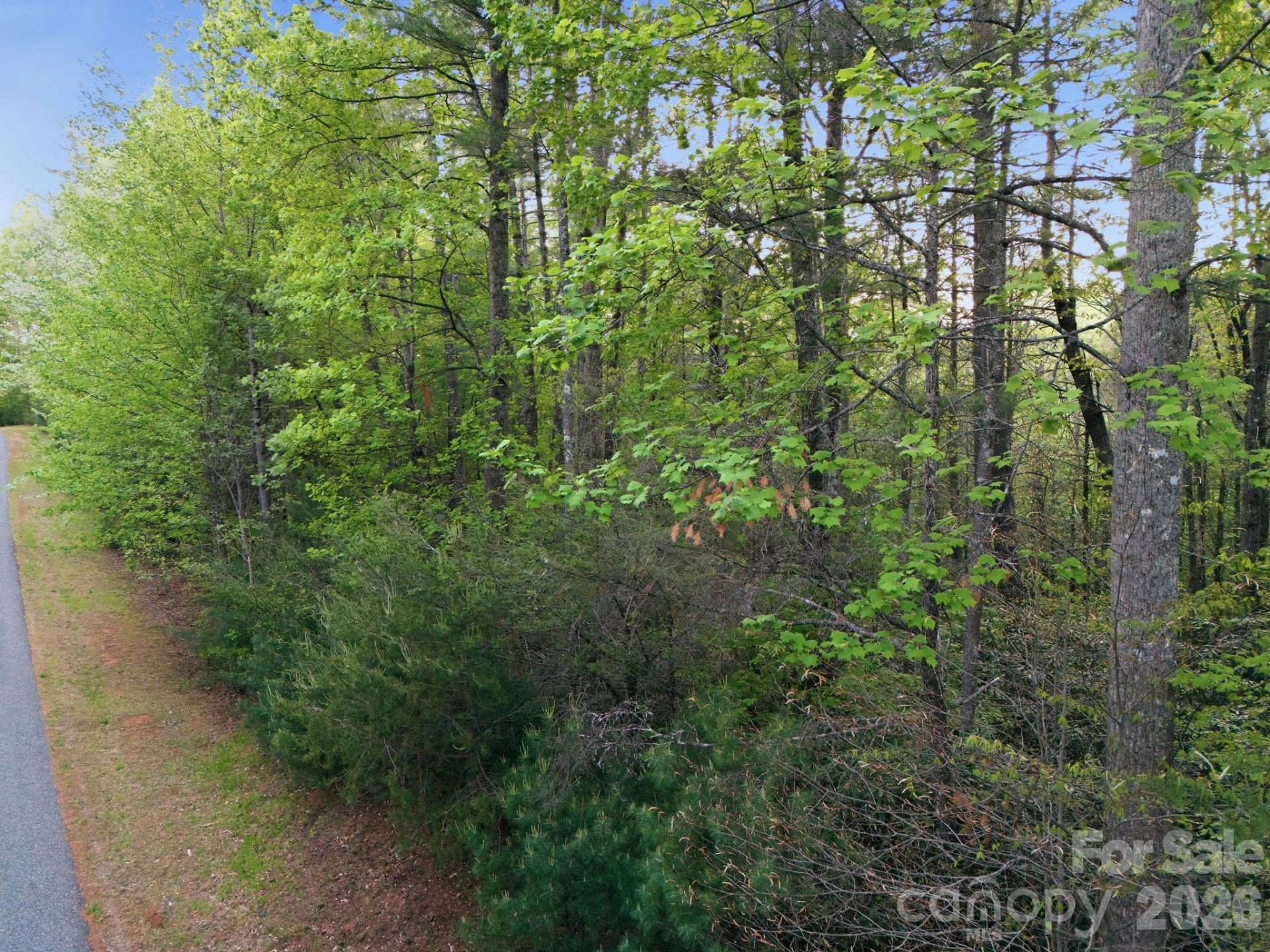 Lot 40 Larkhaven Drive - Photo 3