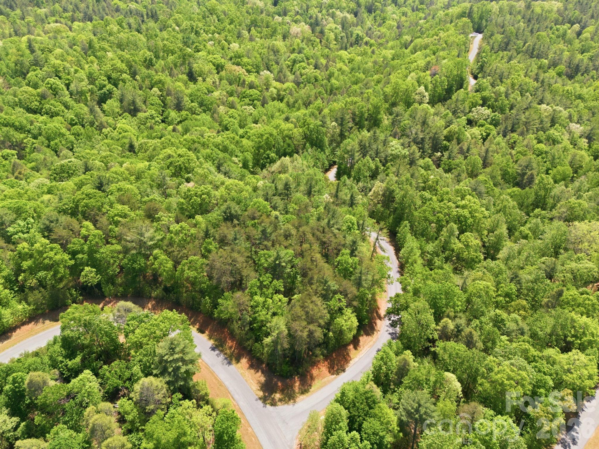 Lot 40 Larkhaven Drive - Photo 4