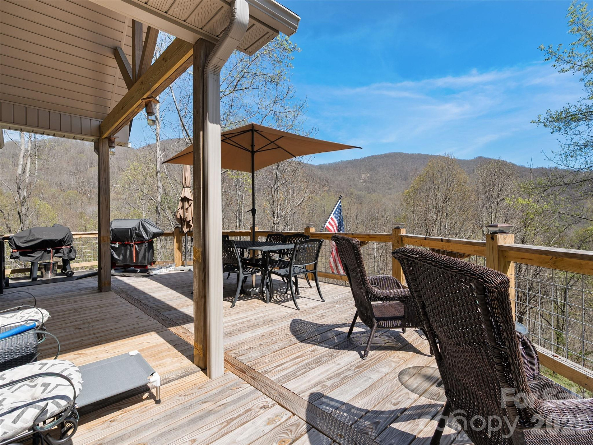 4823 Max Patch Road - Photo 13
