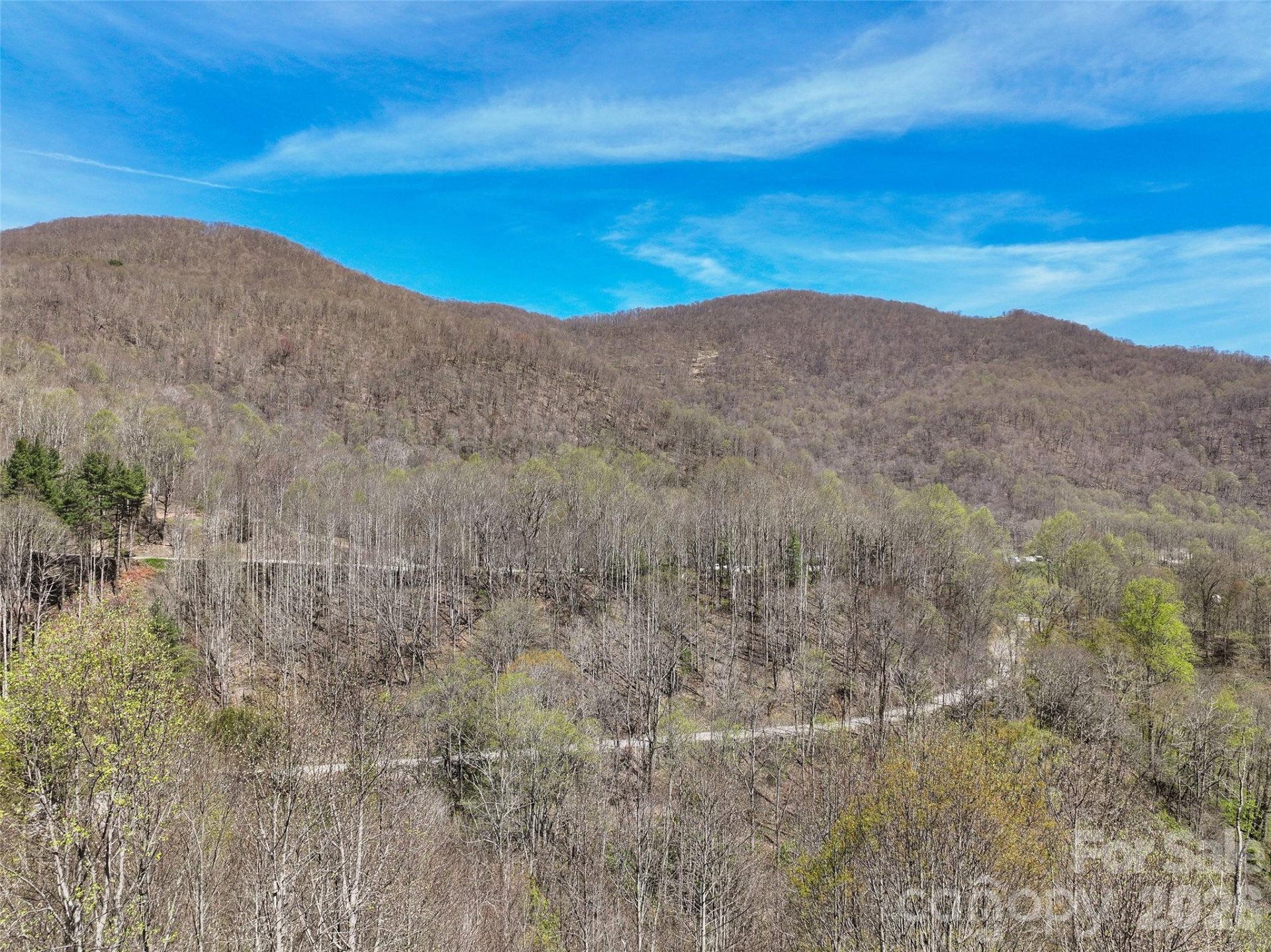 4823 Max Patch Road - Photo 14