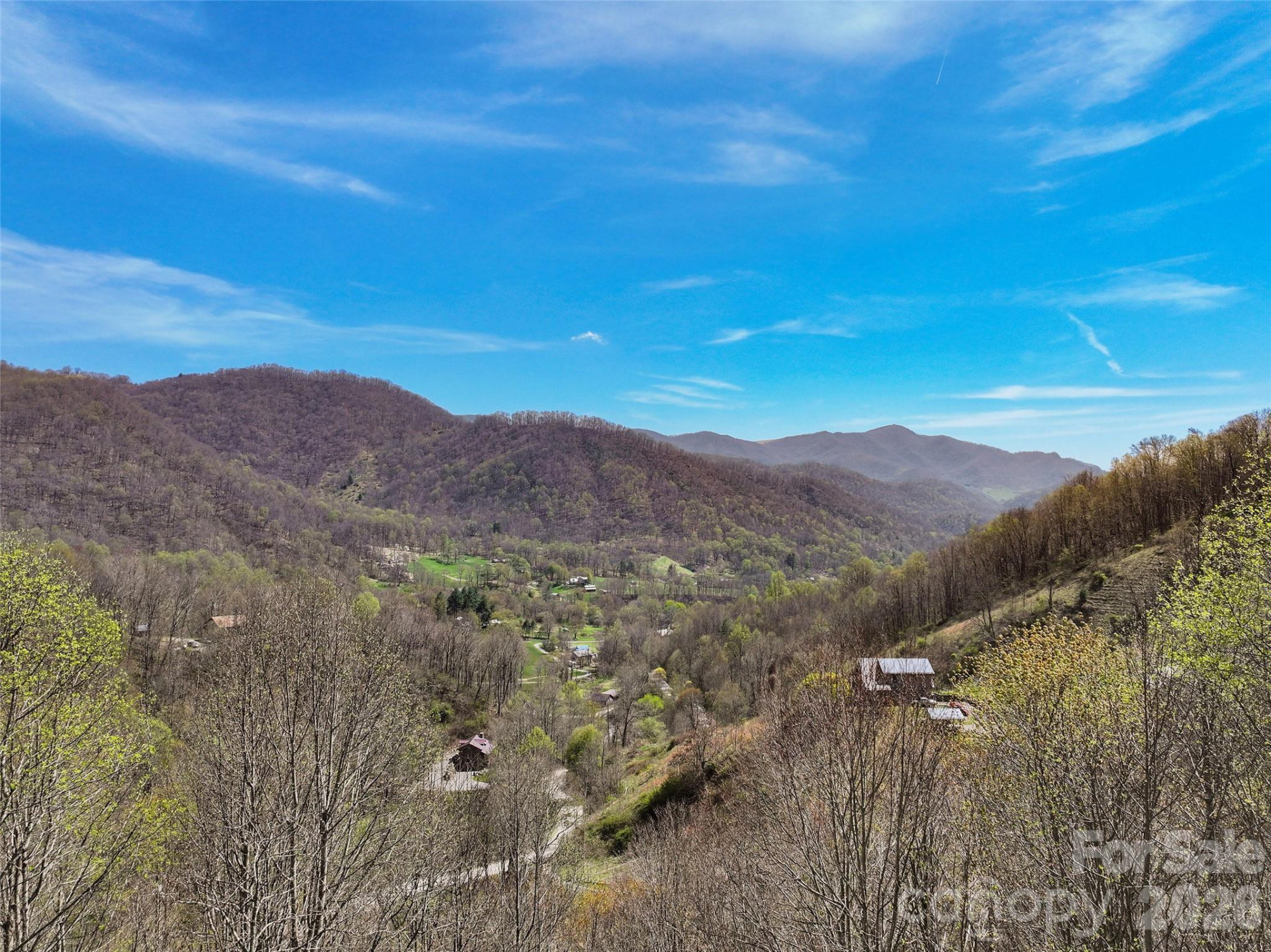 4823 Max Patch Road - Photo 16