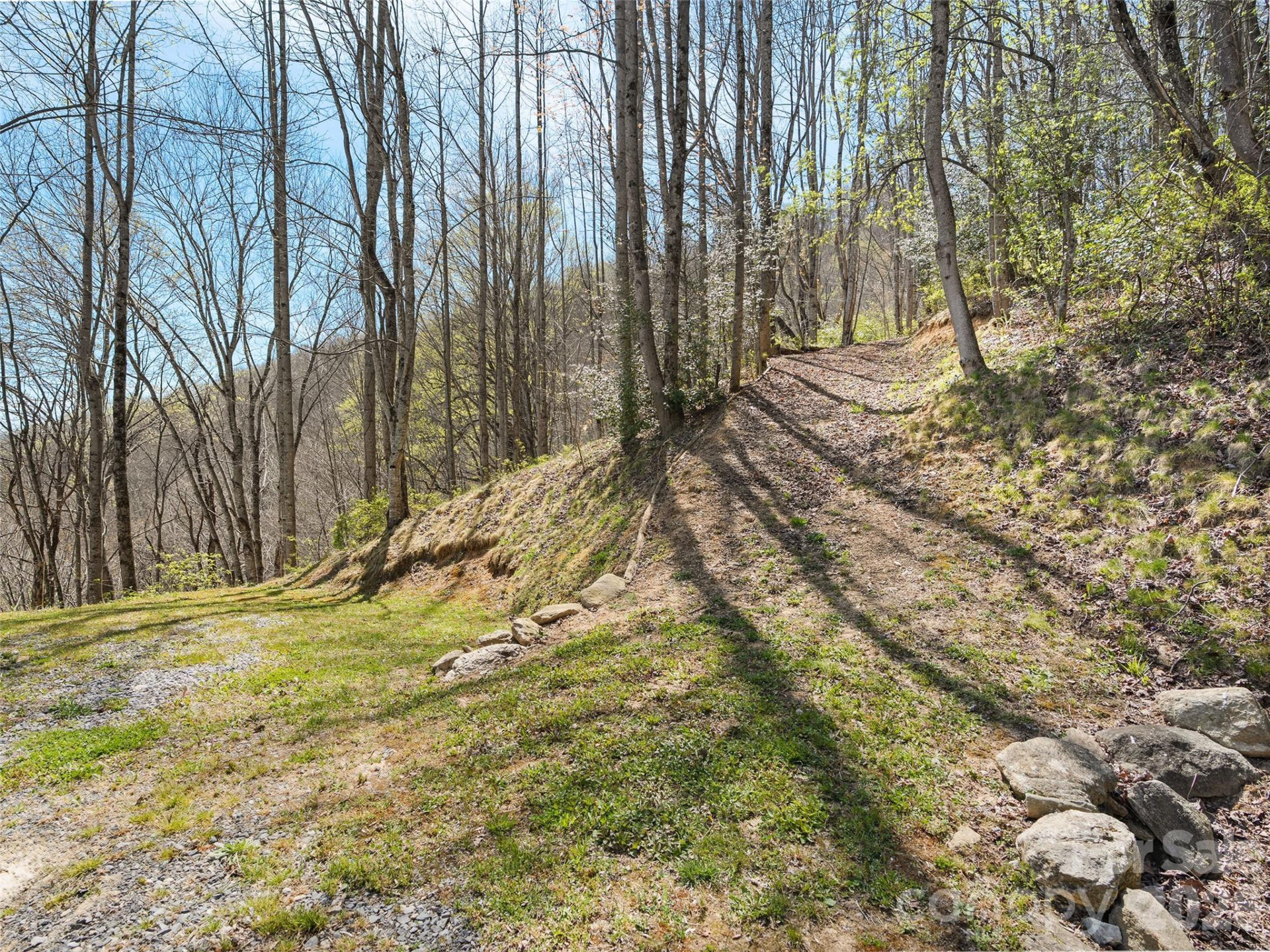 4823 Max Patch Road - Photo 31