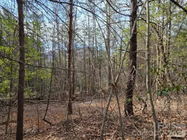 Lot 6 Kerlee Lane, Old Fort, NC, 28762