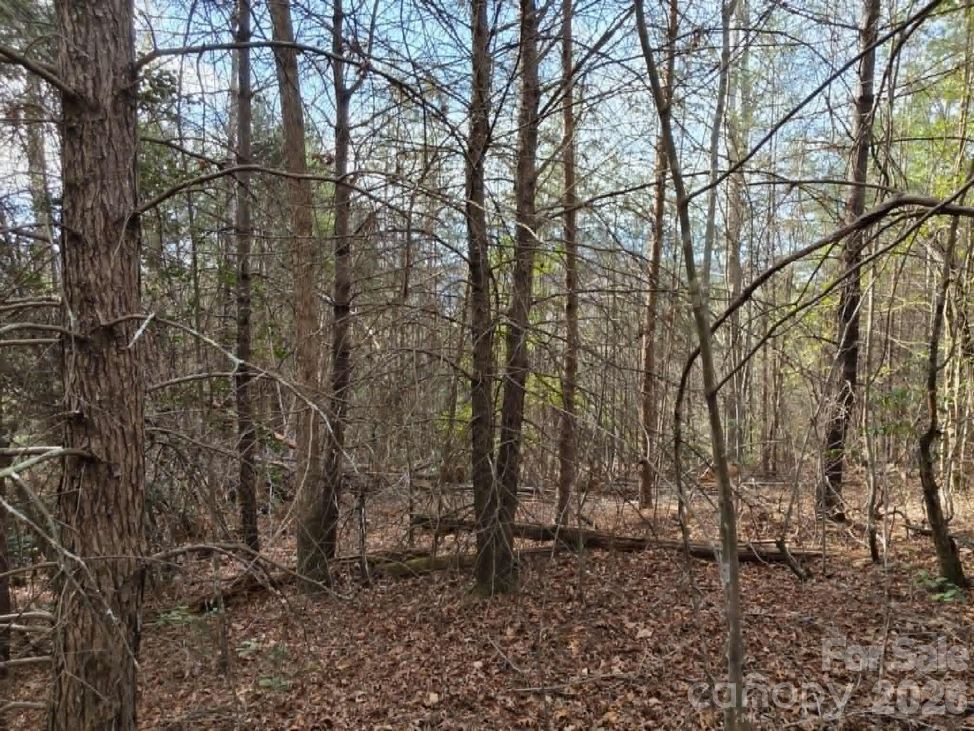 Lot 6 Kerlee Lane - Photo 6