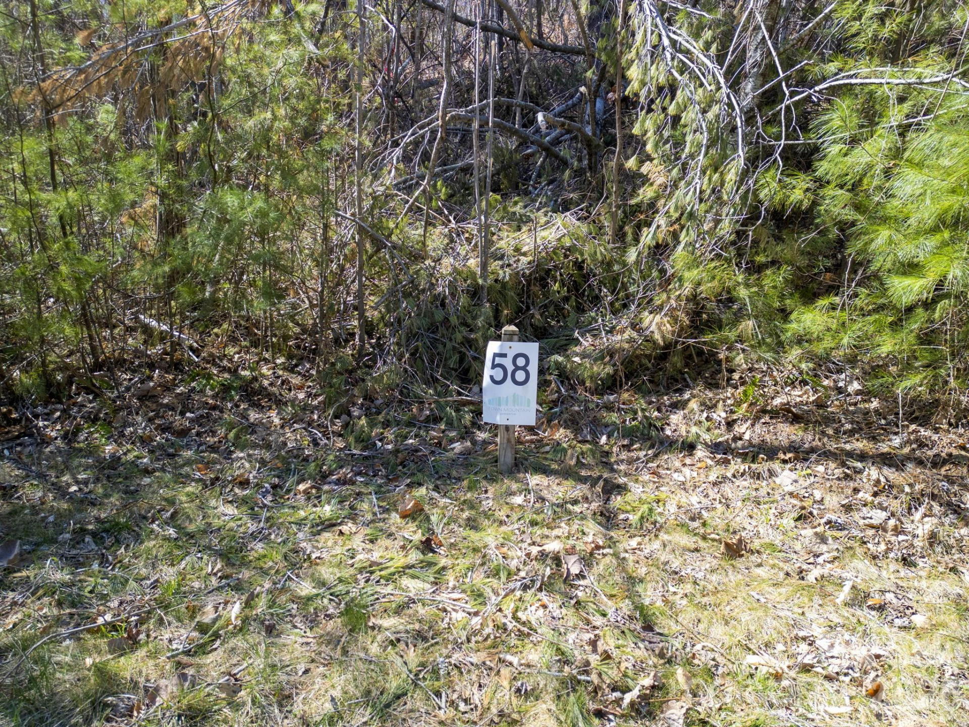 48 Longspur Lane #58 - Photo 22