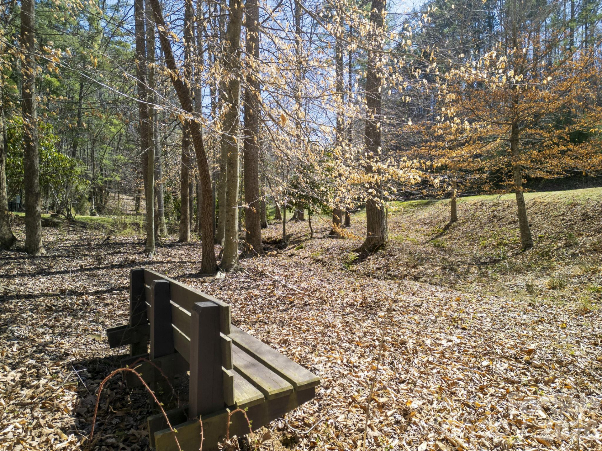 48 Longspur Lane #58 - Photo 33