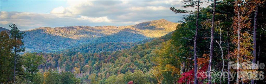 48 Longspur Lane #58 - Photo 5