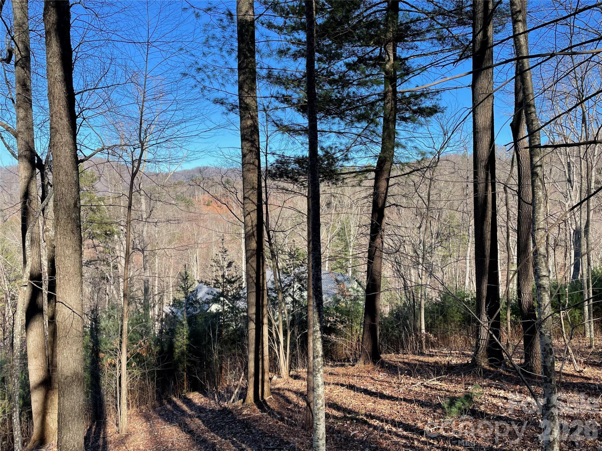 48 Longspur Lane #58 - Photo 6