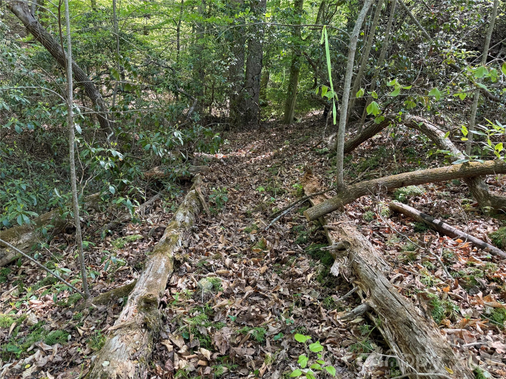 000 Hugh Champion Road - Photo 11