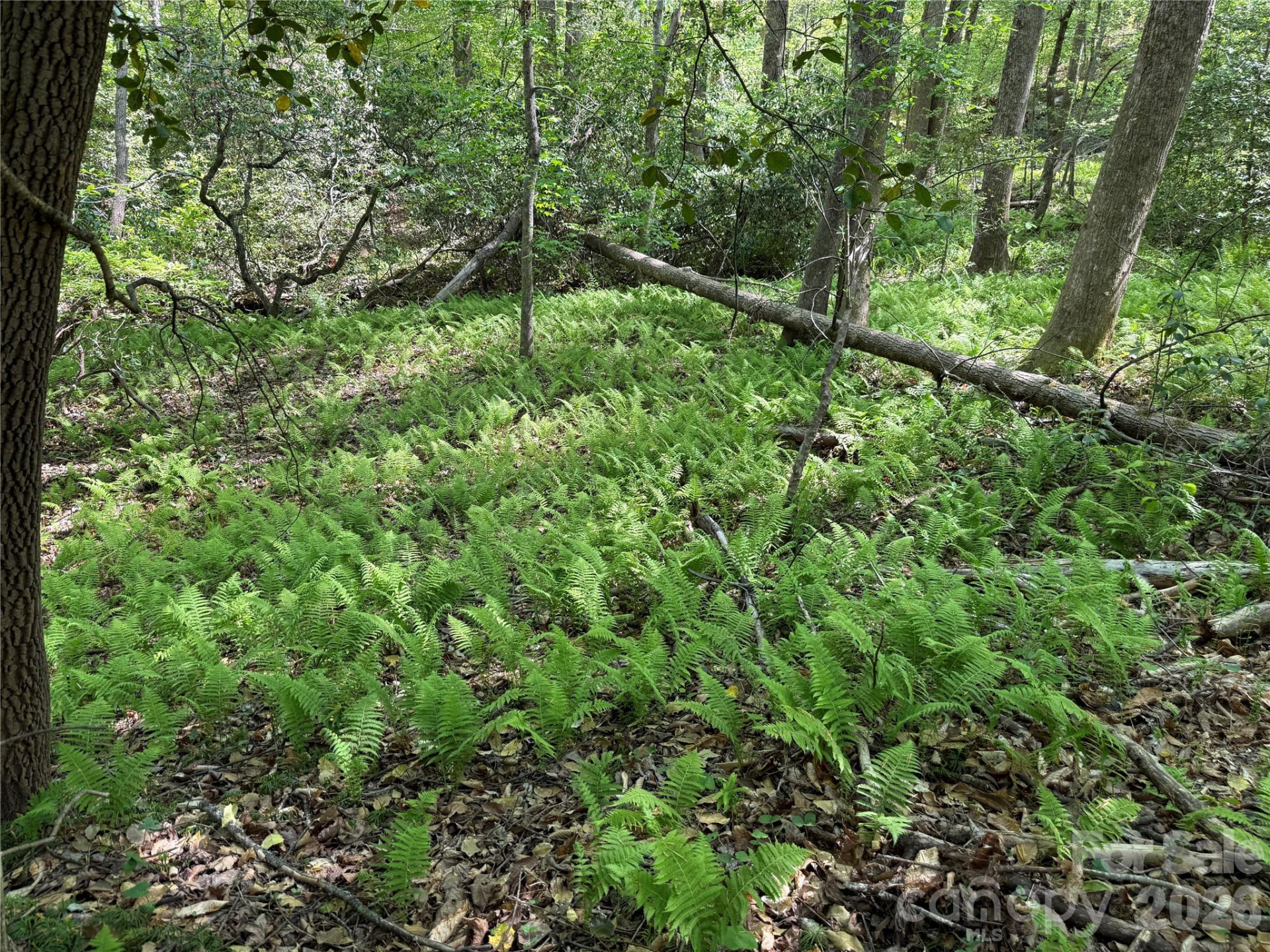 000 Hugh Champion Road - Photo 12