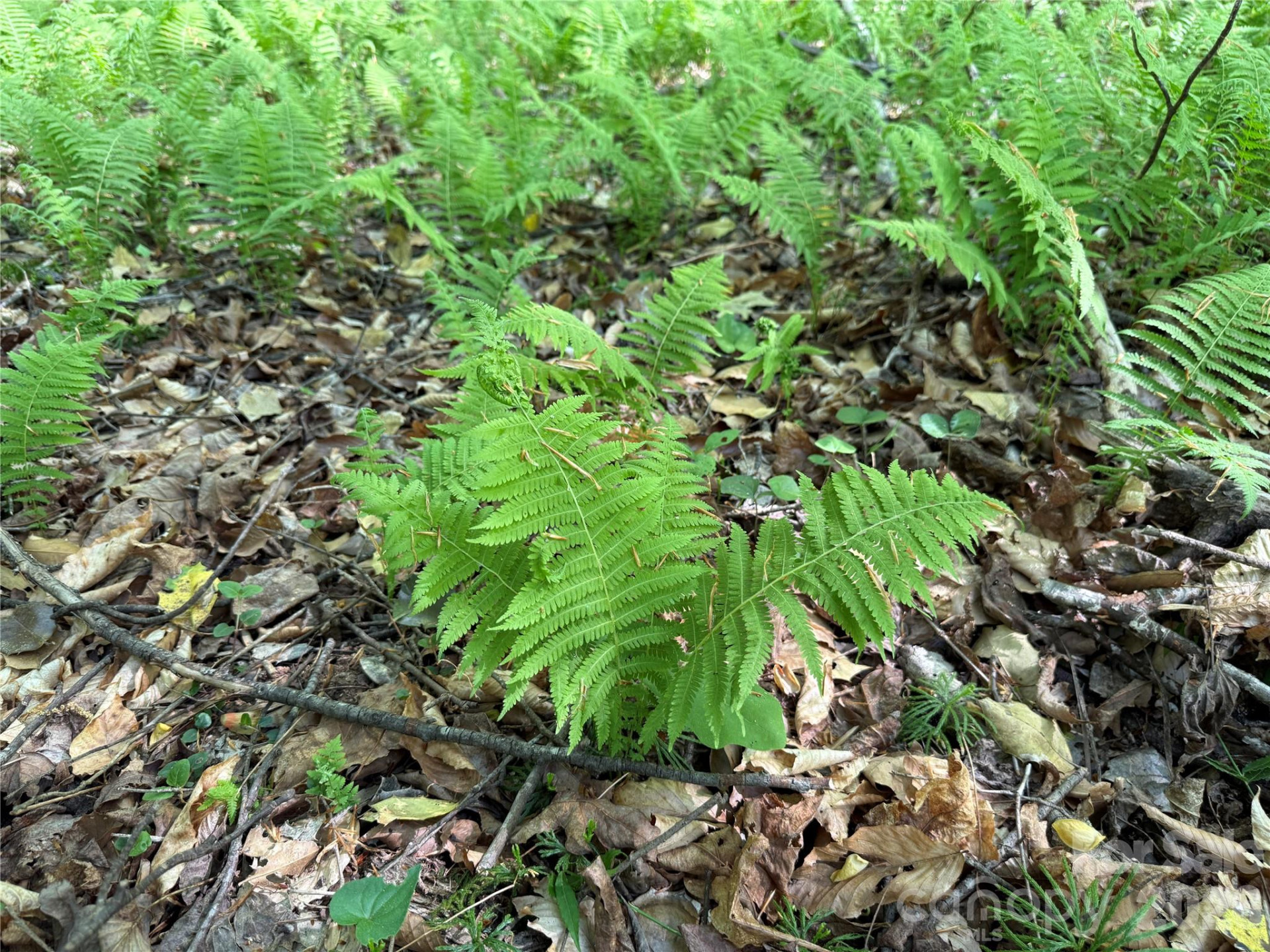 000 Hugh Champion Road - Photo 13