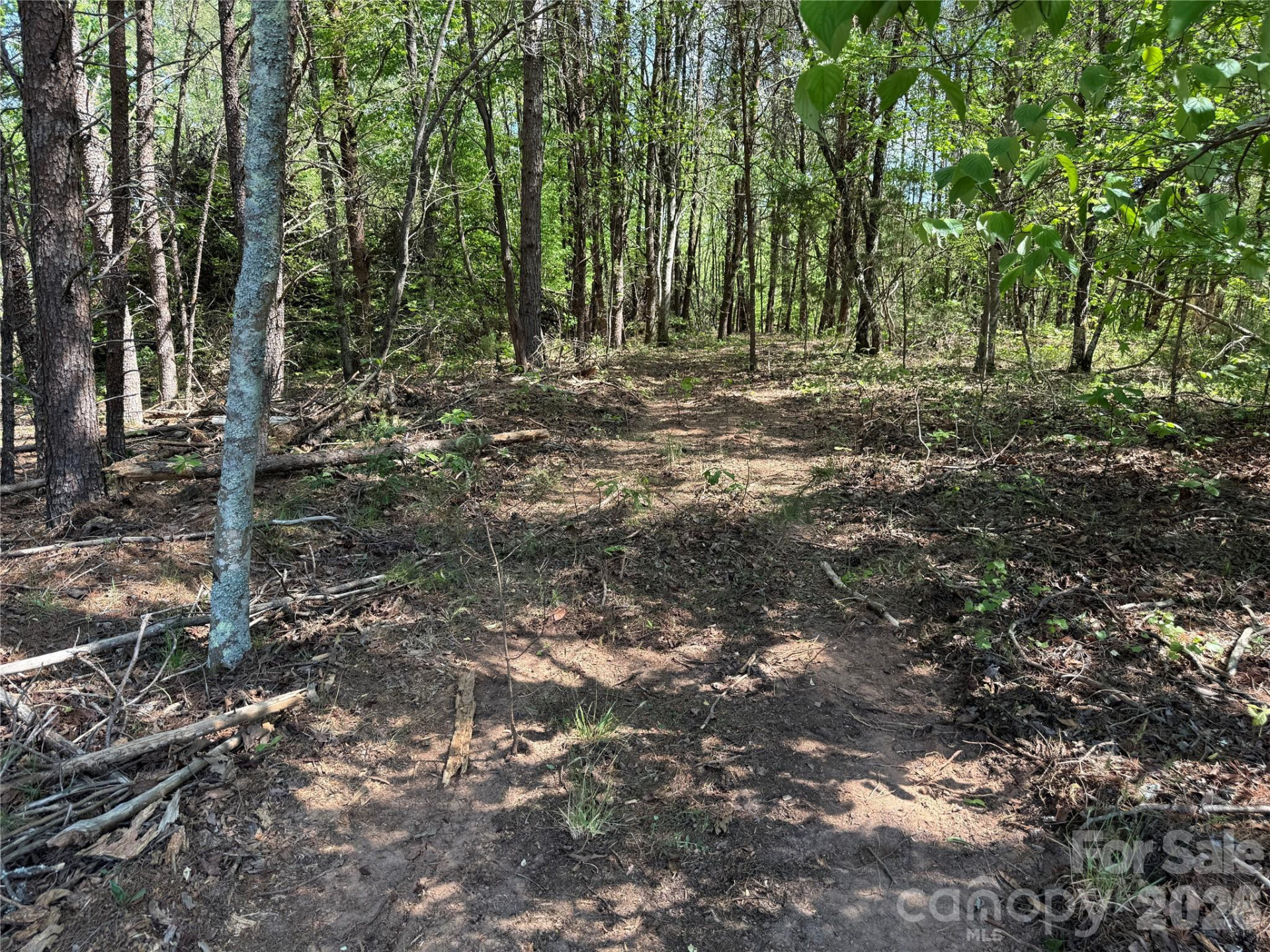 000 Hugh Champion Road - Photo 4