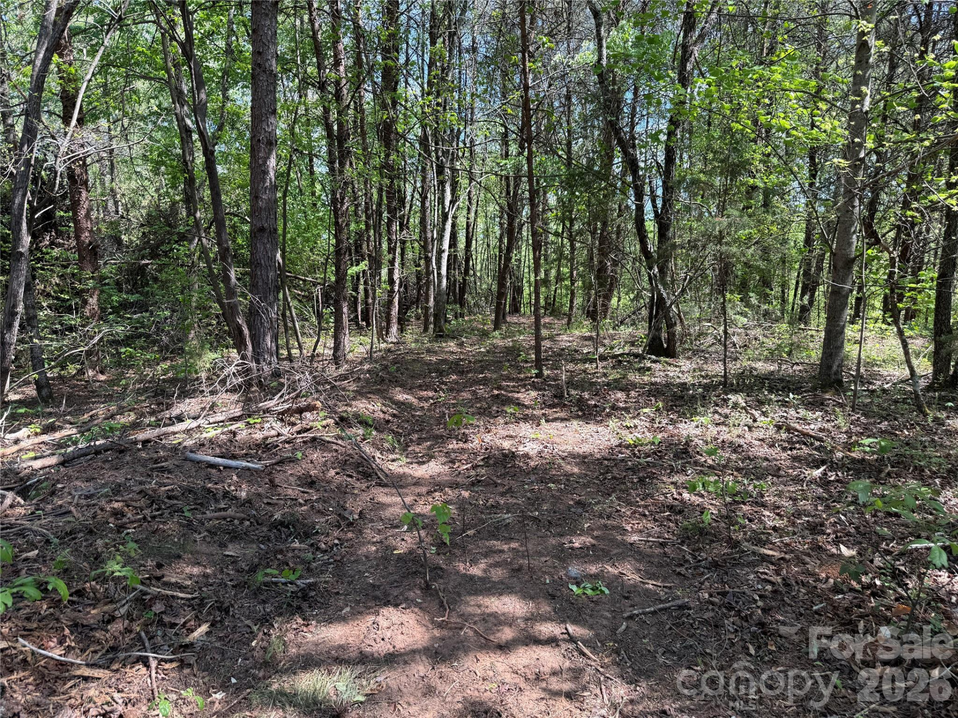 000 Hugh Champion Road - Photo 5