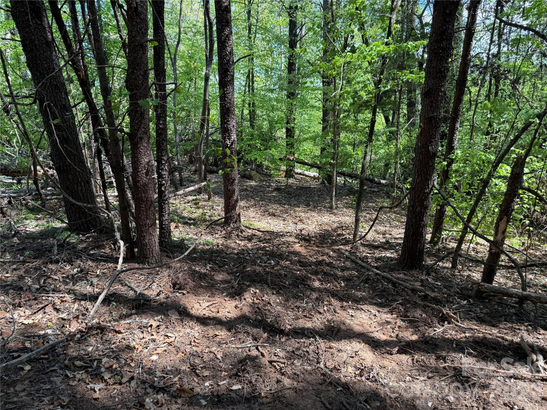 000 Hugh Champion Road - Photo 6