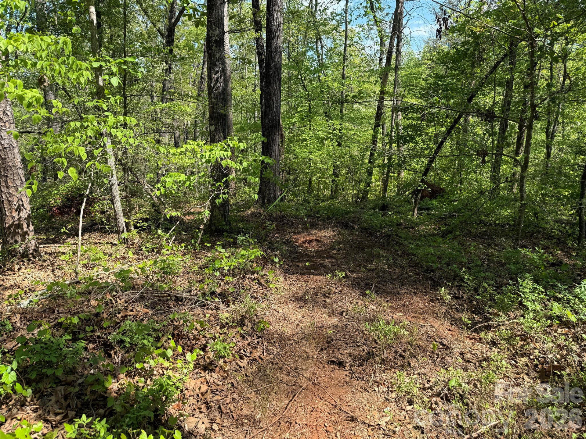 000 Hugh Champion Road - Photo 7