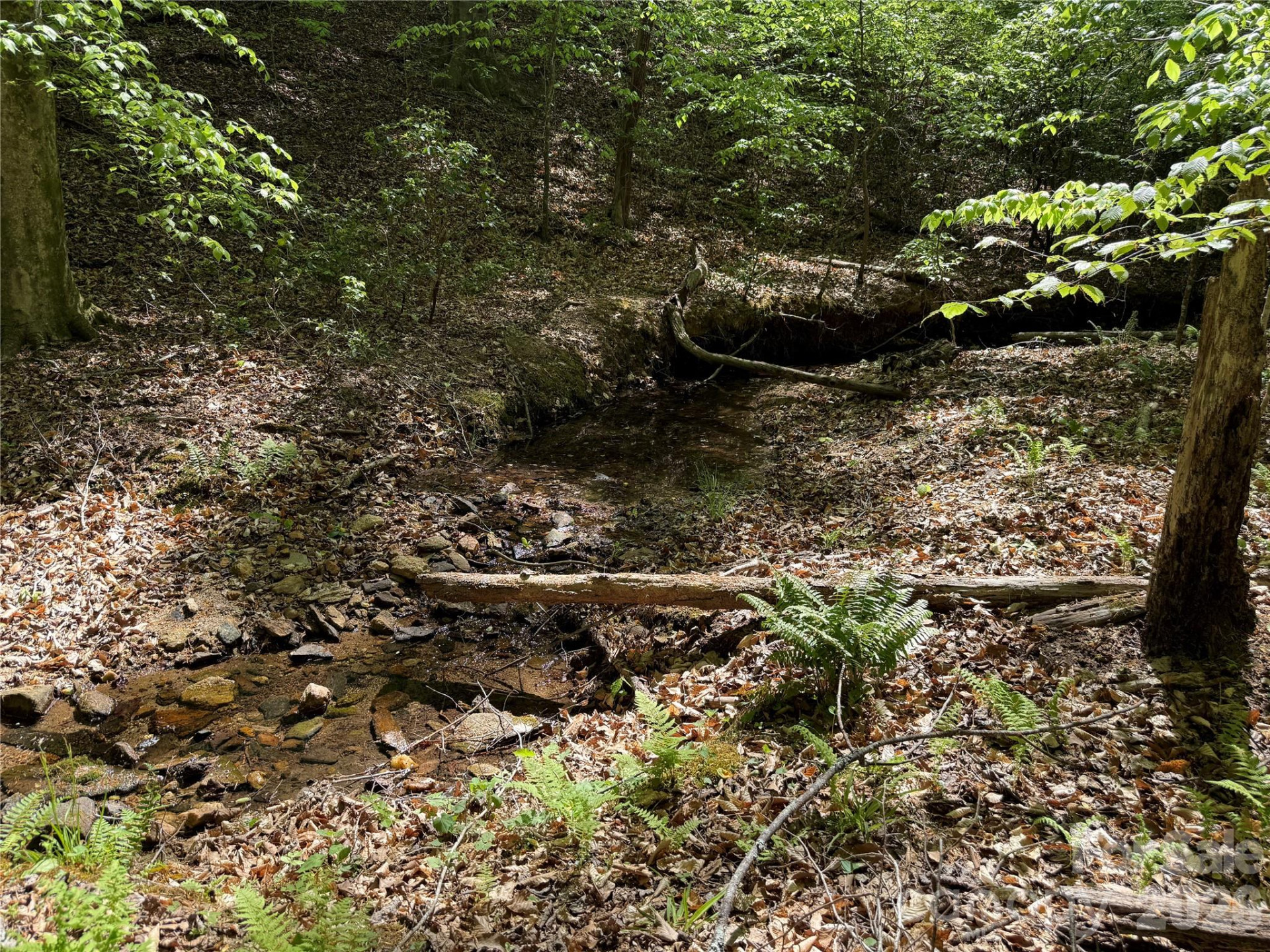 000 Hugh Champion Road - Photo 8