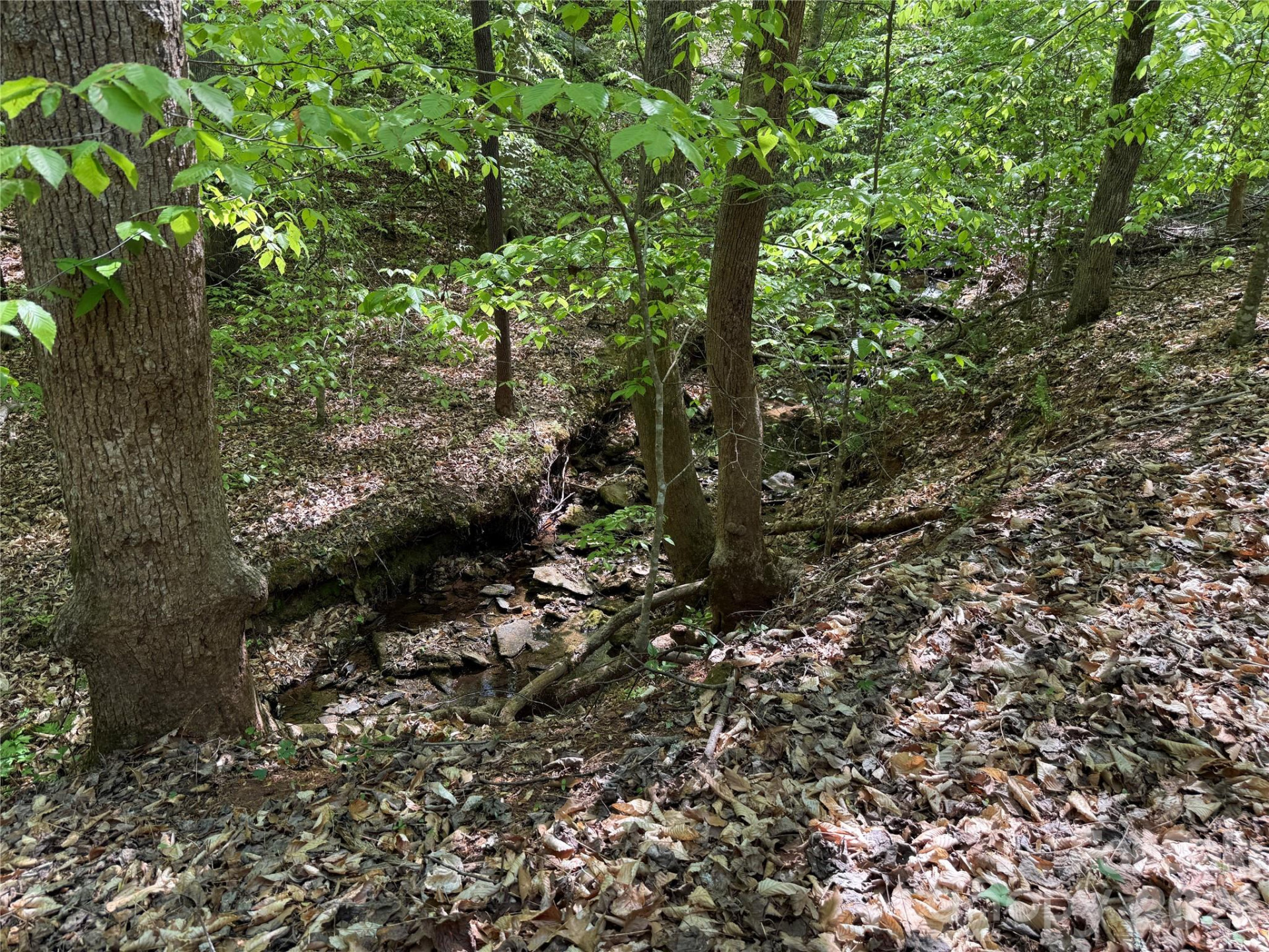 000 Hugh Champion Road - Photo 9