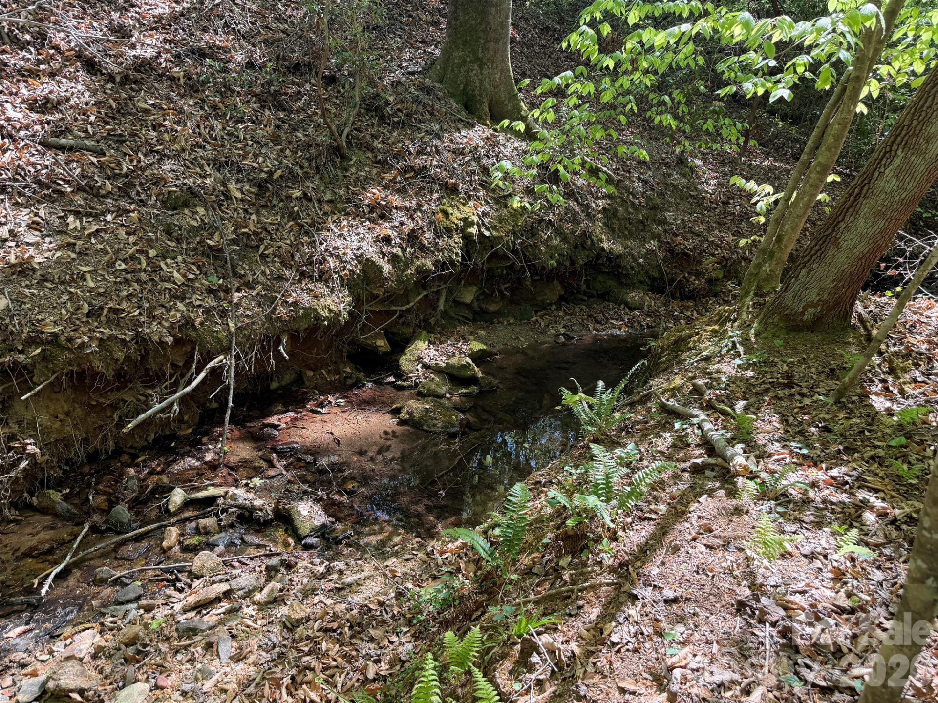 000 Hugh Champion Road - Photo 10