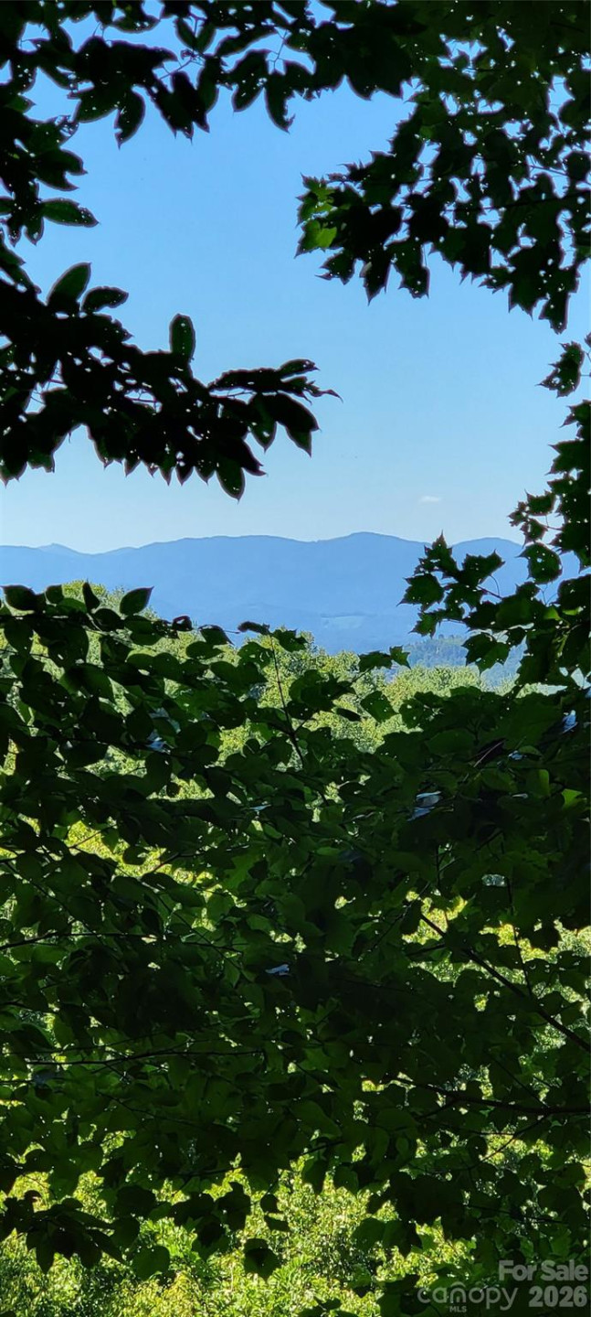 11 Franklin Trace Drive #15 - Photo 8