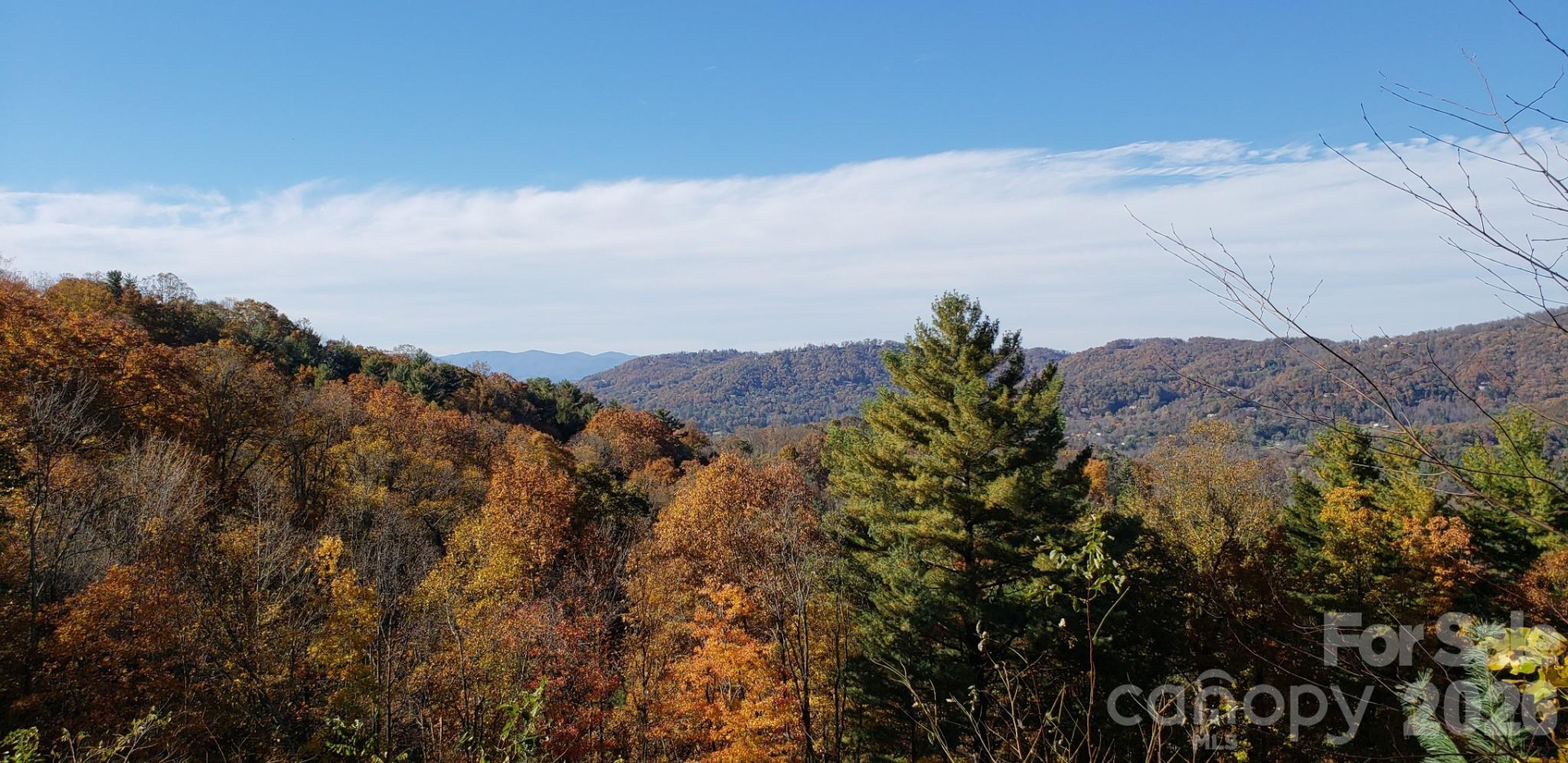 11 Franklin Trace Drive #15 - Photo 9