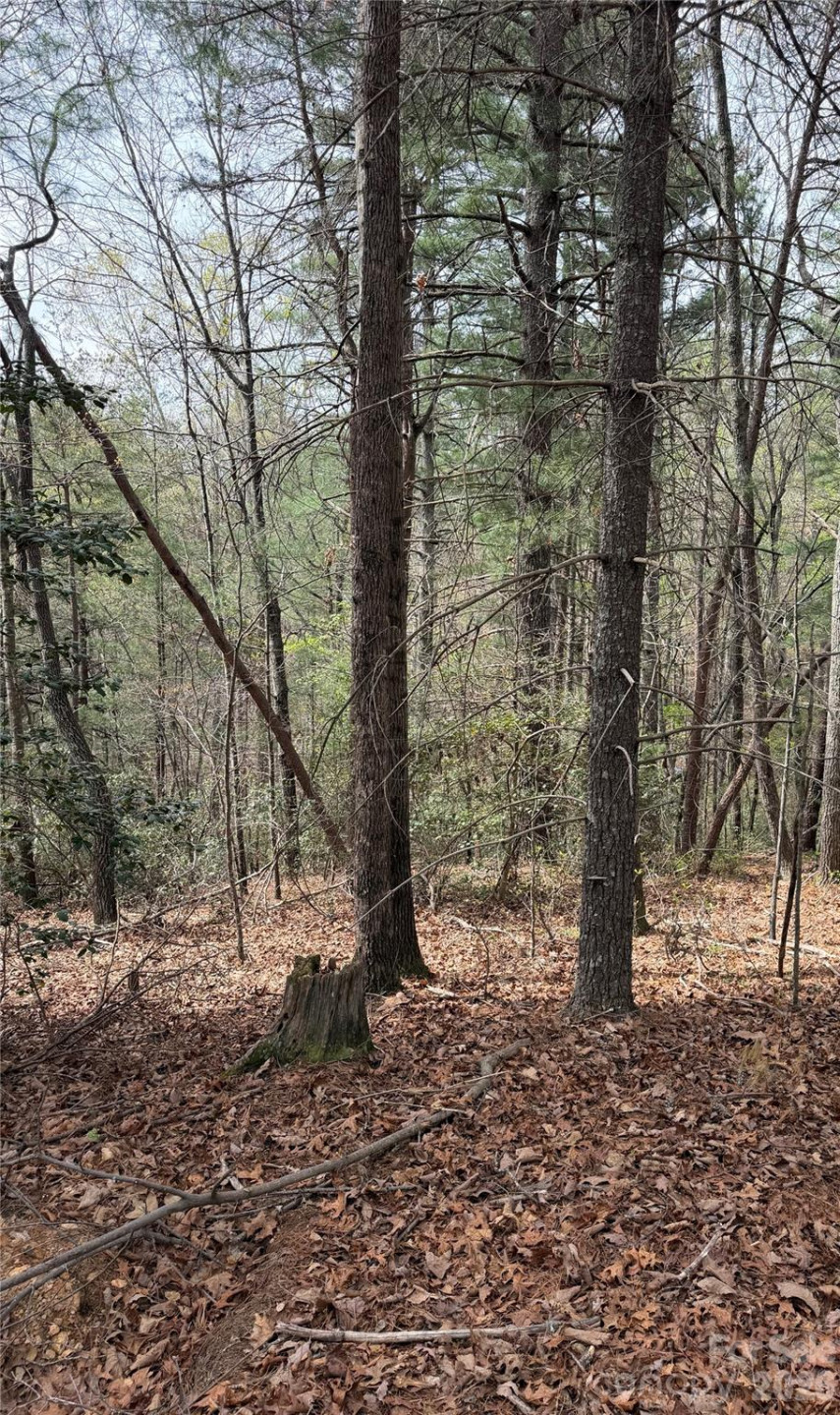 5080 Tucker Drive - Photo 4