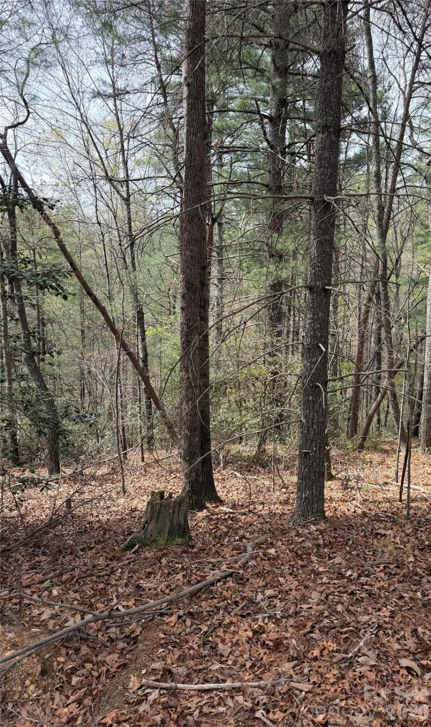5080 Tucker Drive - Photo 5