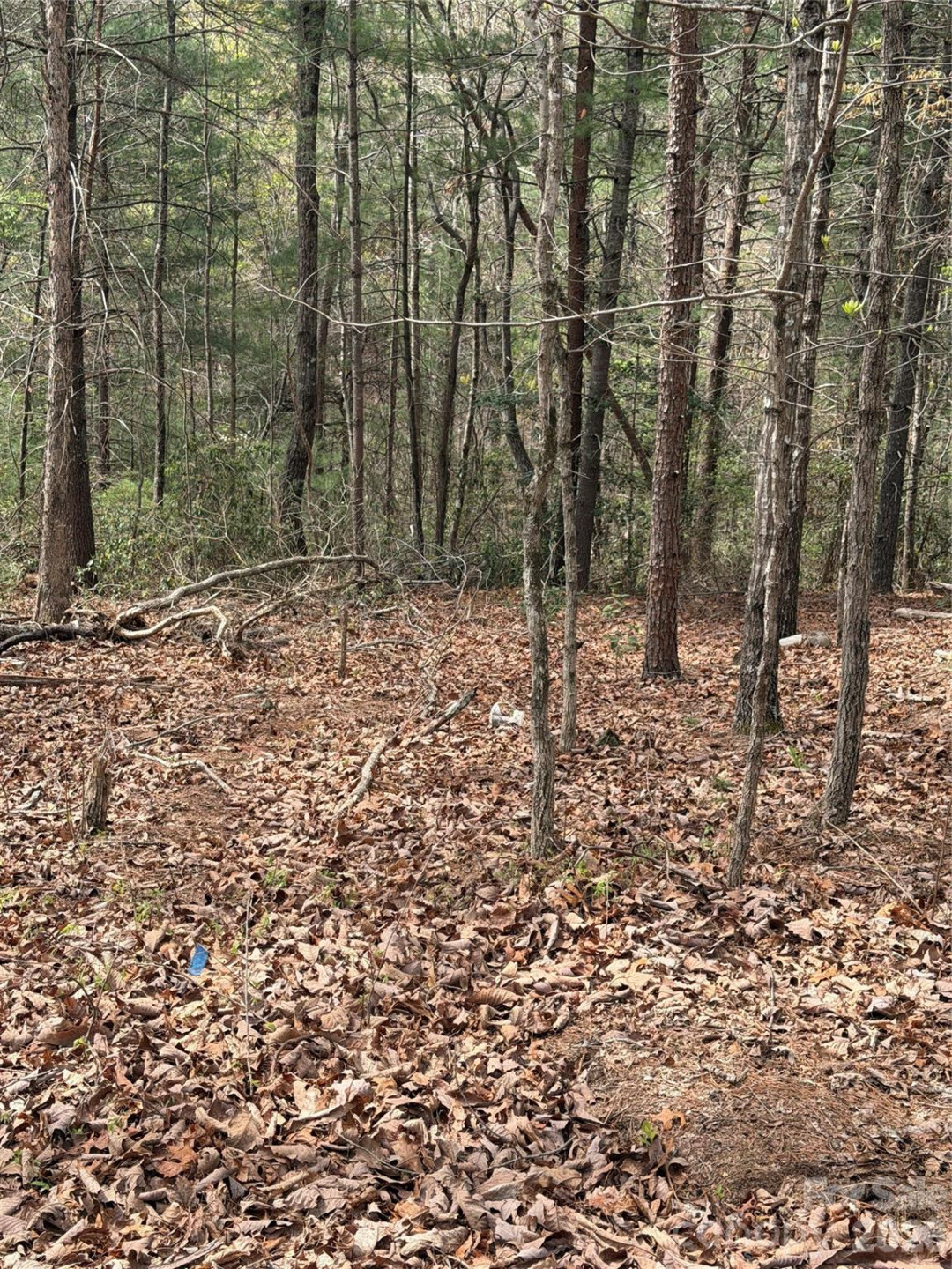 5080 Tucker Drive - Photo 6