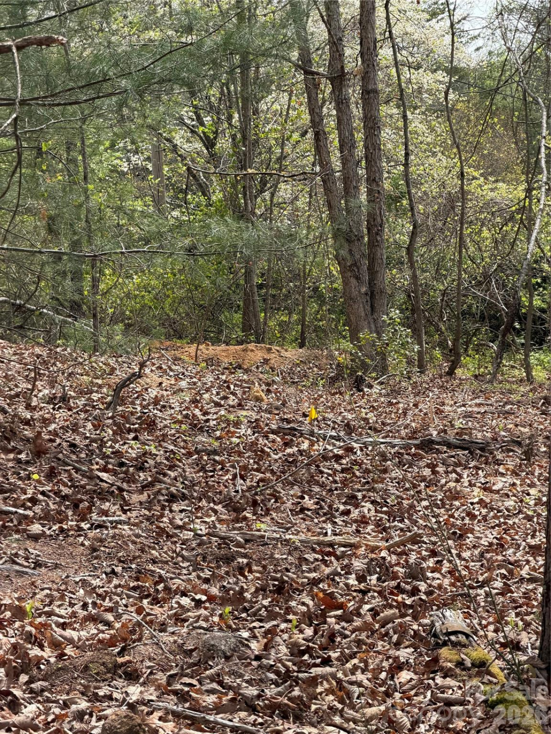 5080 Tucker Drive - Photo 7