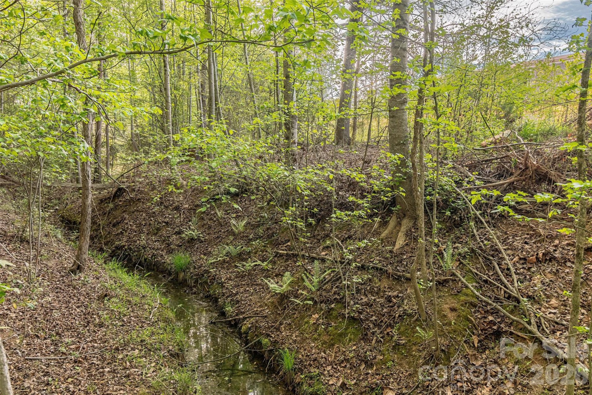 482 Jm Lovelace Road - Photo 2