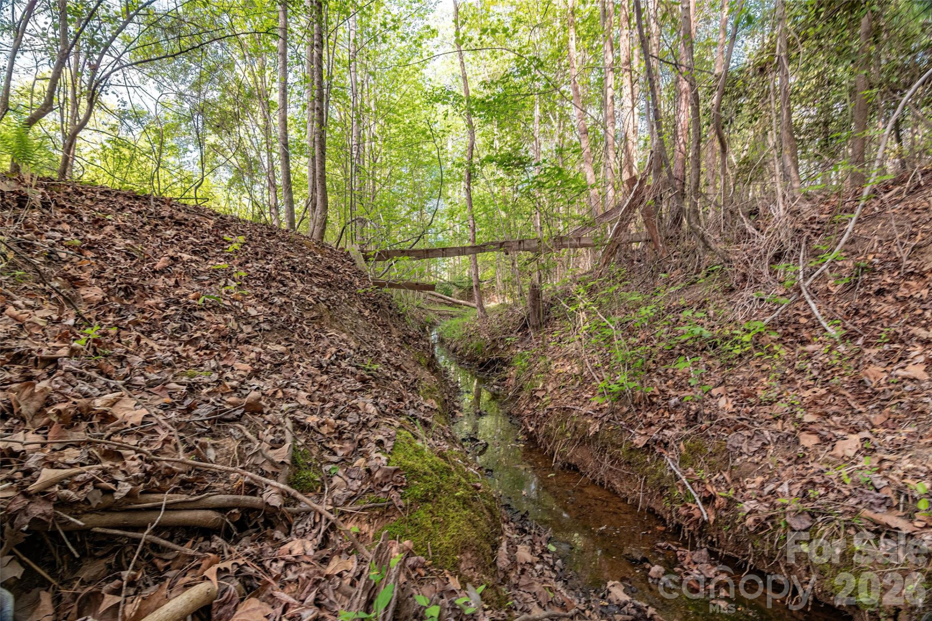 482 Jm Lovelace Road - Photo 3