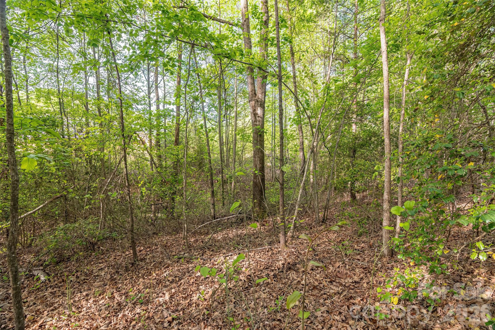 482 Jm Lovelace Road - Photo 30