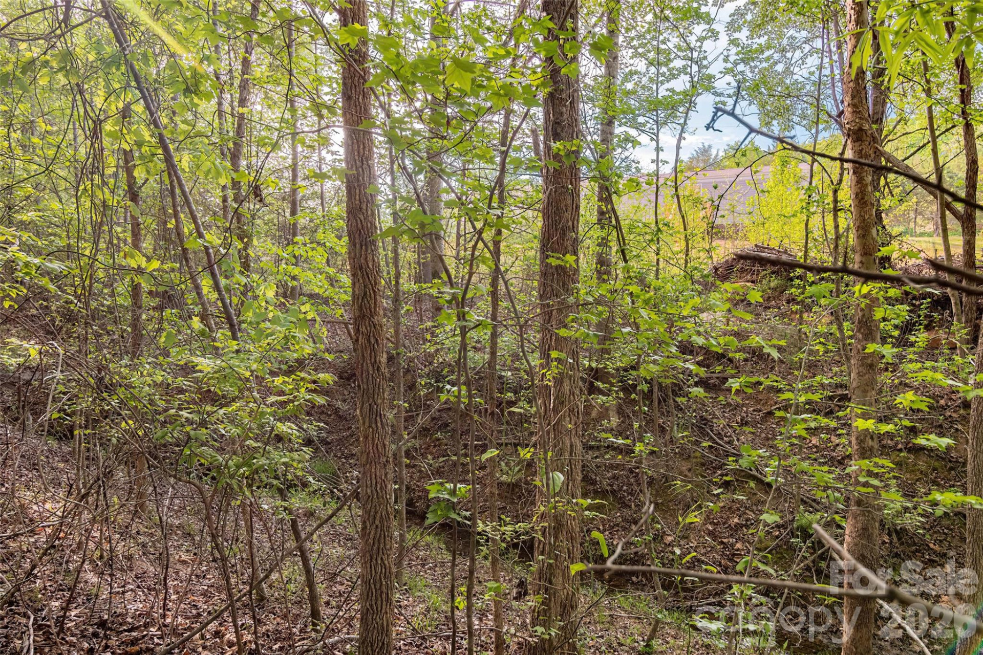 482 Jm Lovelace Road - Photo 31