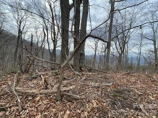 135 Gavin Glen Road - Photo 11