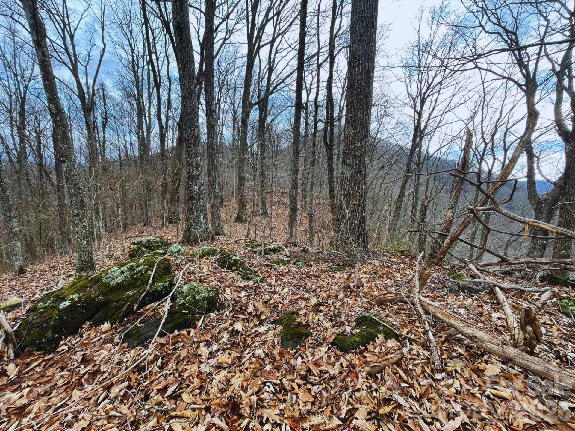 135 Gavin Glen Road - Photo 13