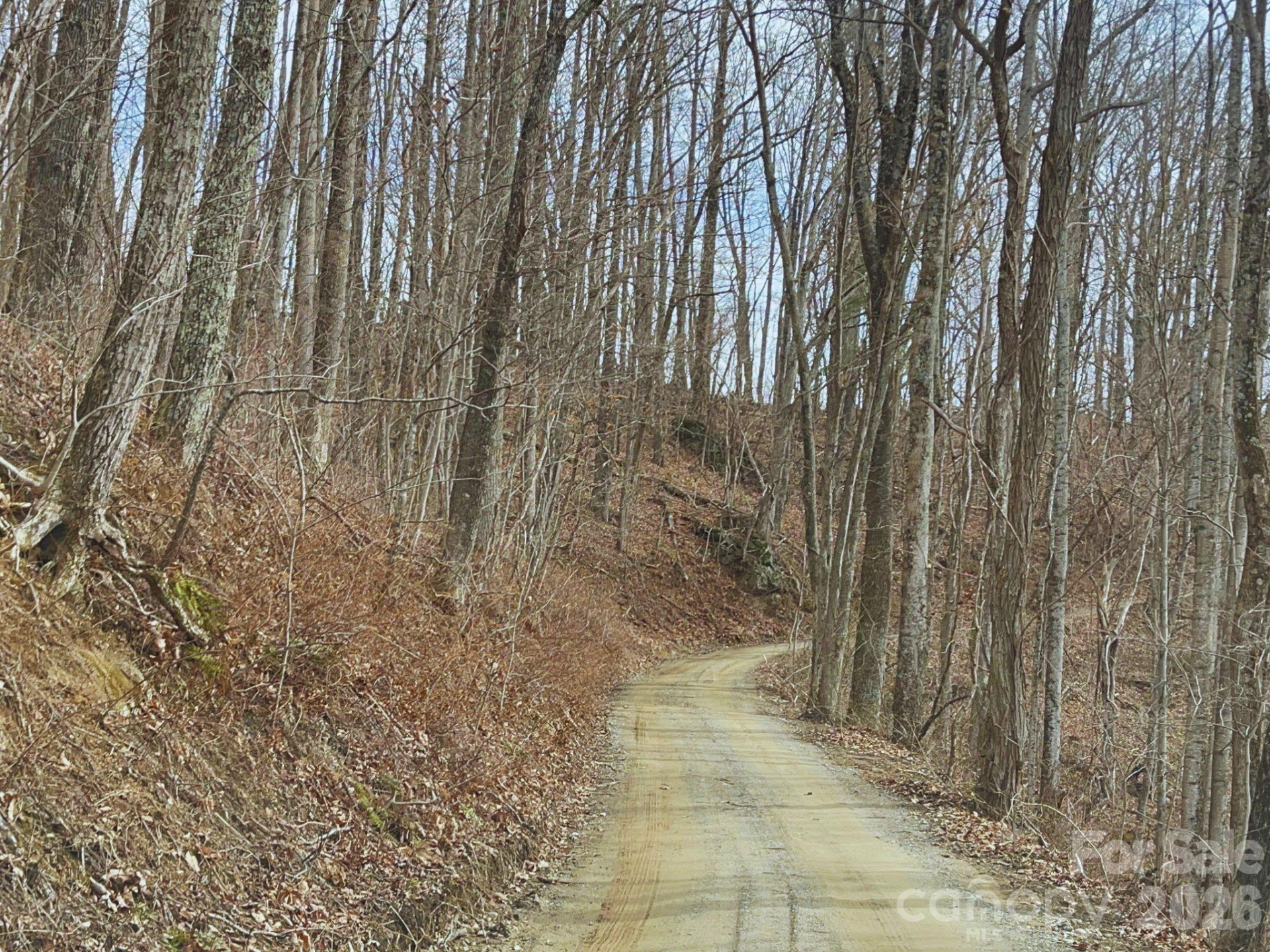 135 Gavin Glen Road - Photo 3