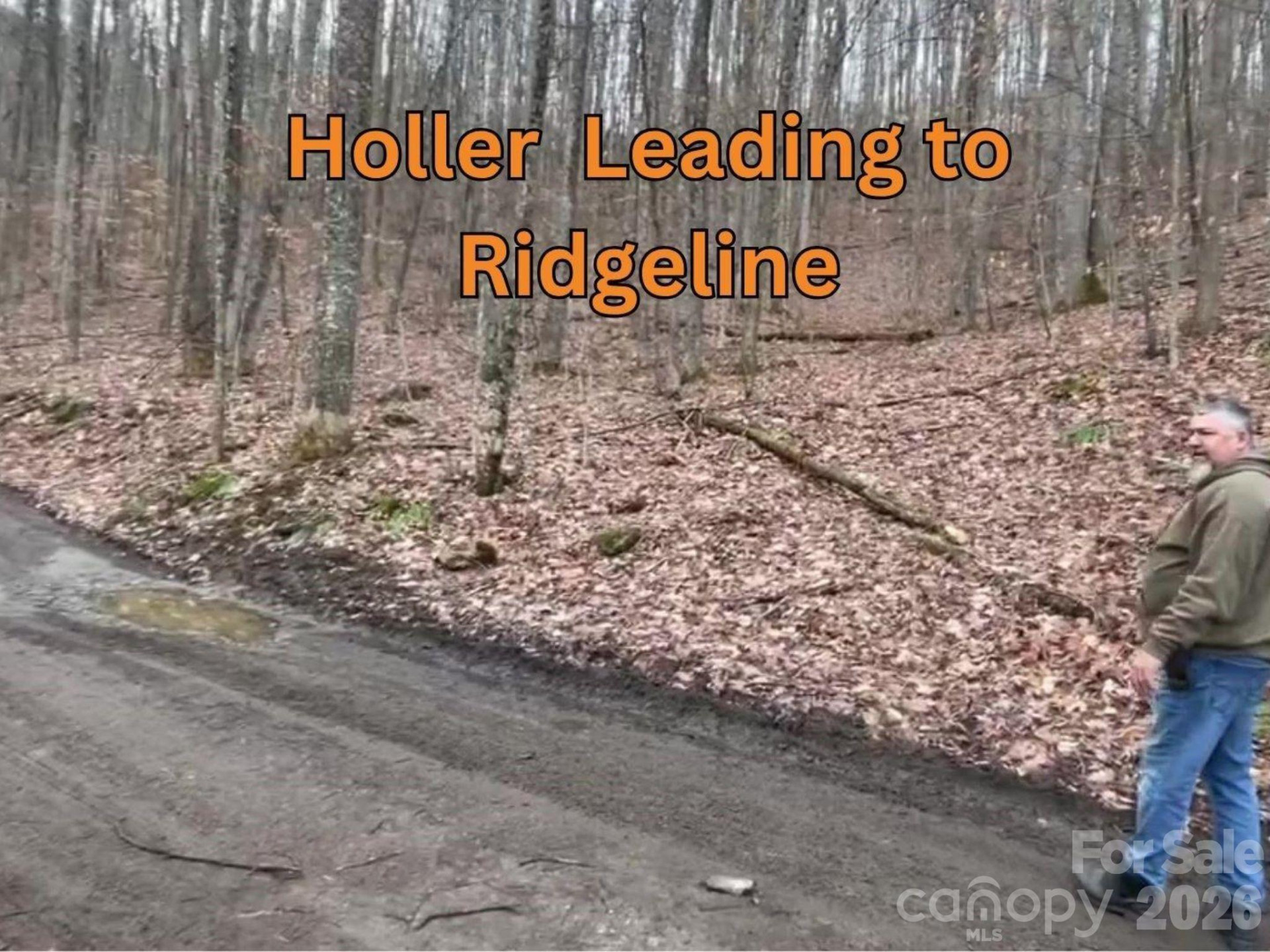 135 Gavin Glen Road - Photo 4