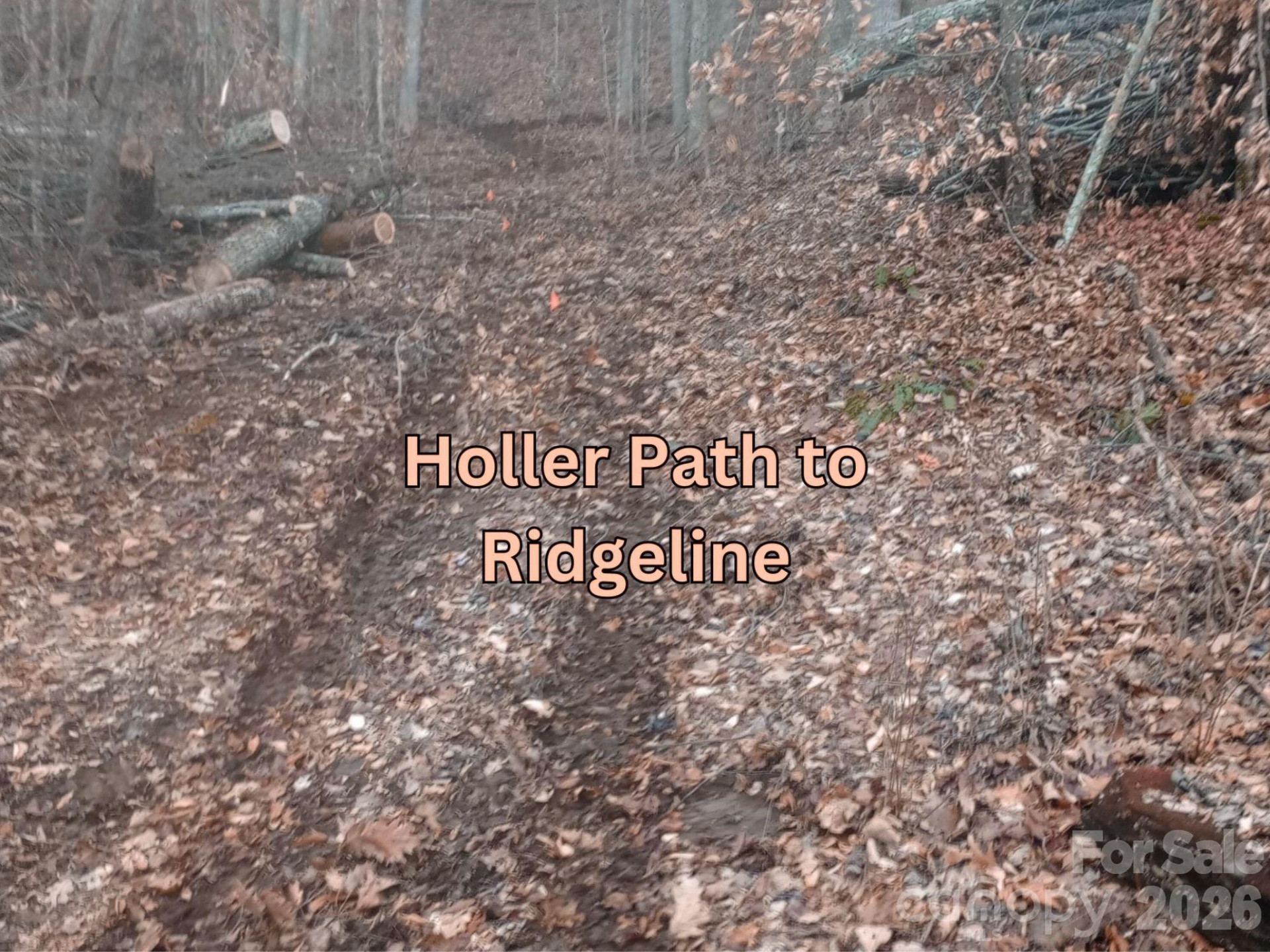 135 Gavin Glen Road - Photo 5