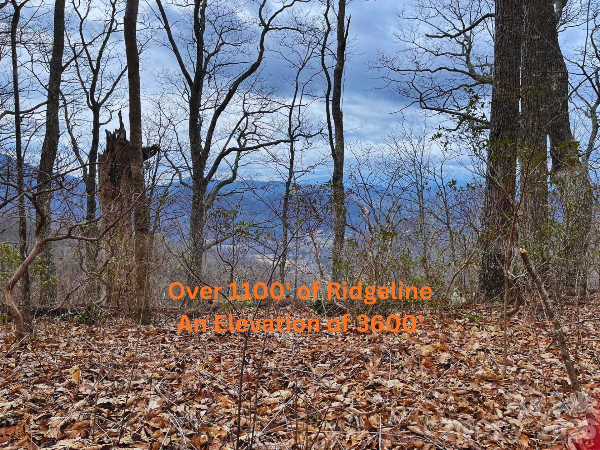 135 Gavin Glen Road - Photo 7