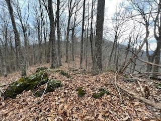 135 Gavin Glen Road - Photo 9