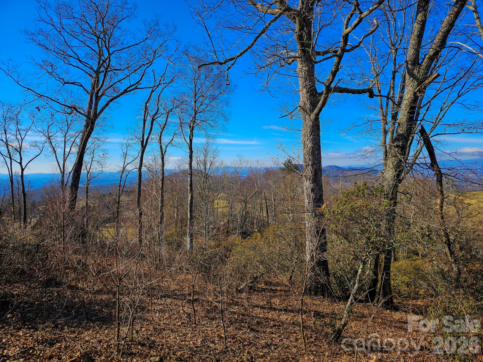 214 Summerset Drive - Photo 6