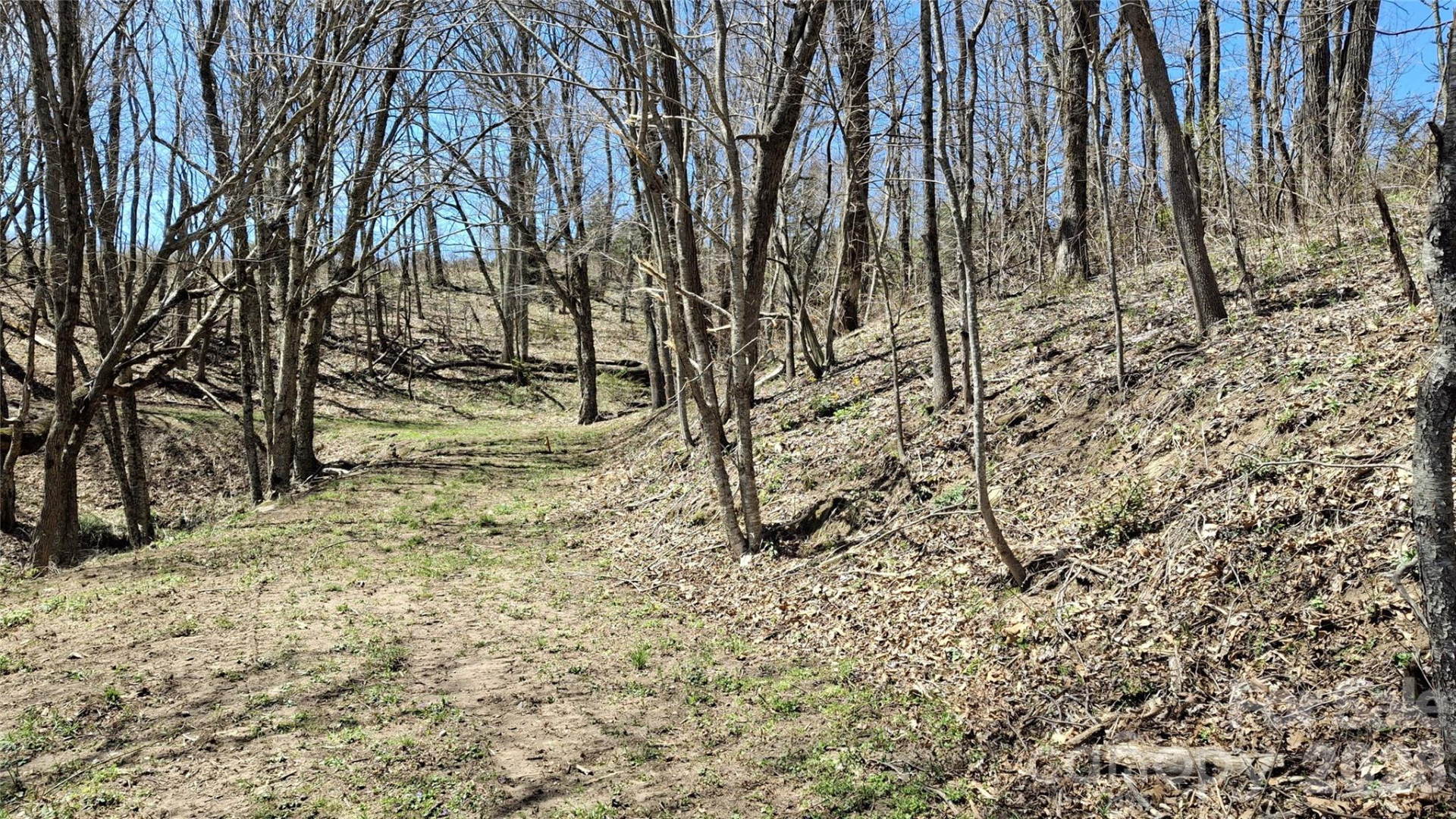 00 Big Ridge Road - Photo 2