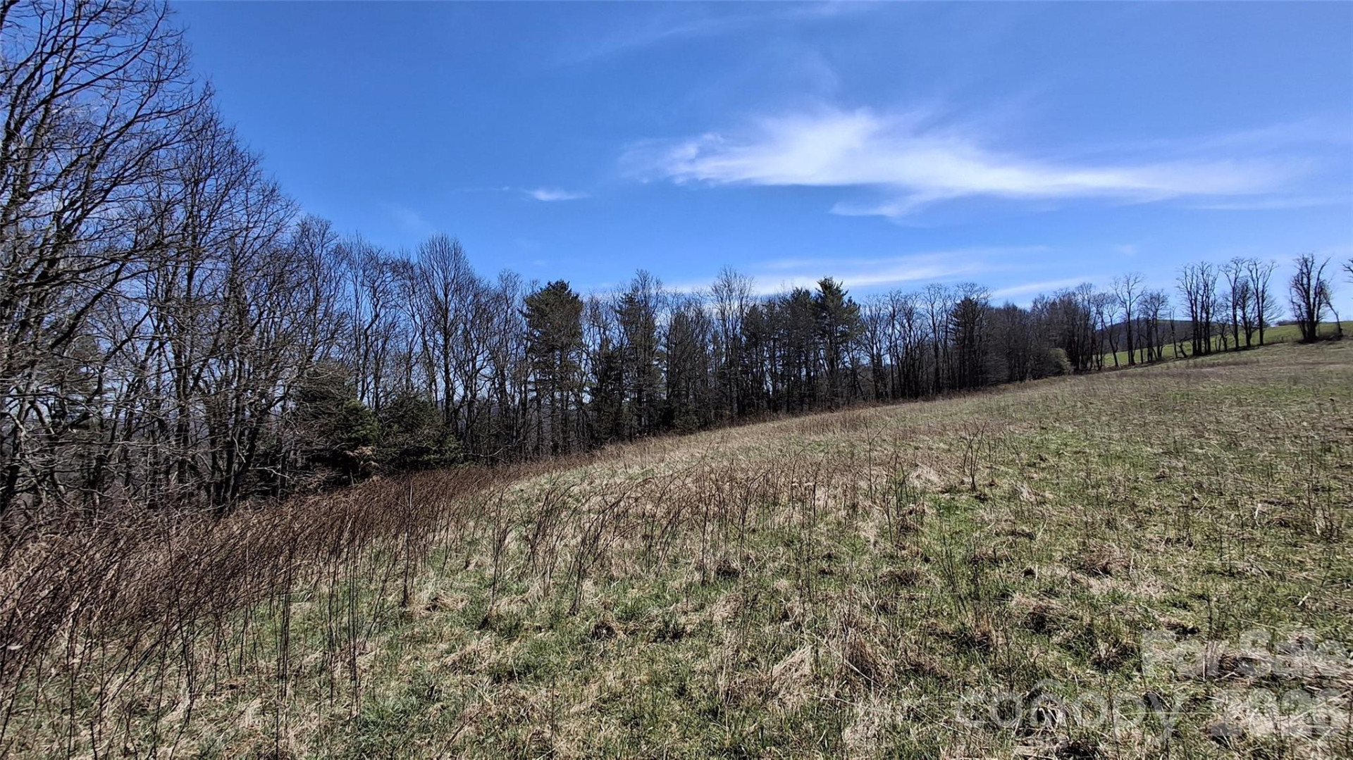 00 Big Ridge Road - Photo 11