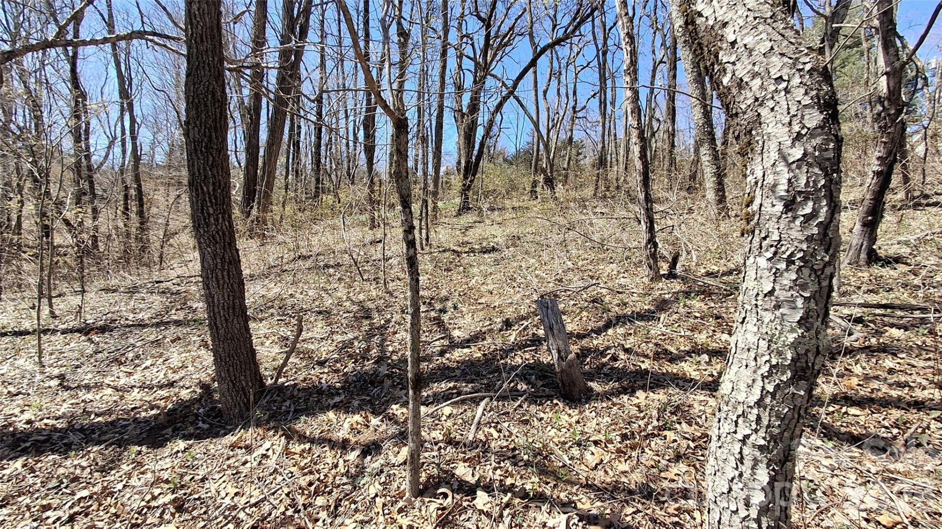 00 Big Ridge Road - Photo 12