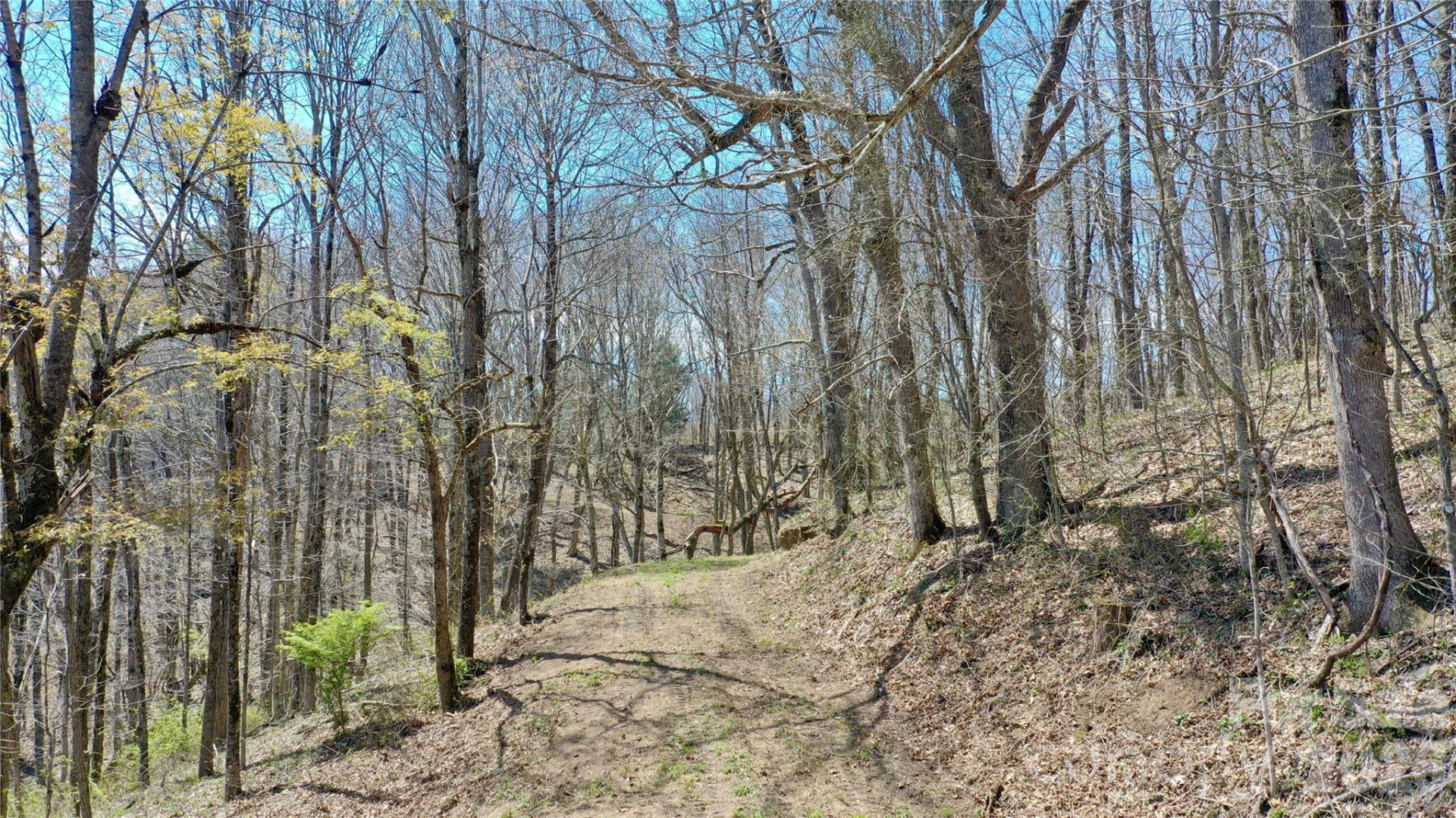 00 Big Ridge Road - Photo 13