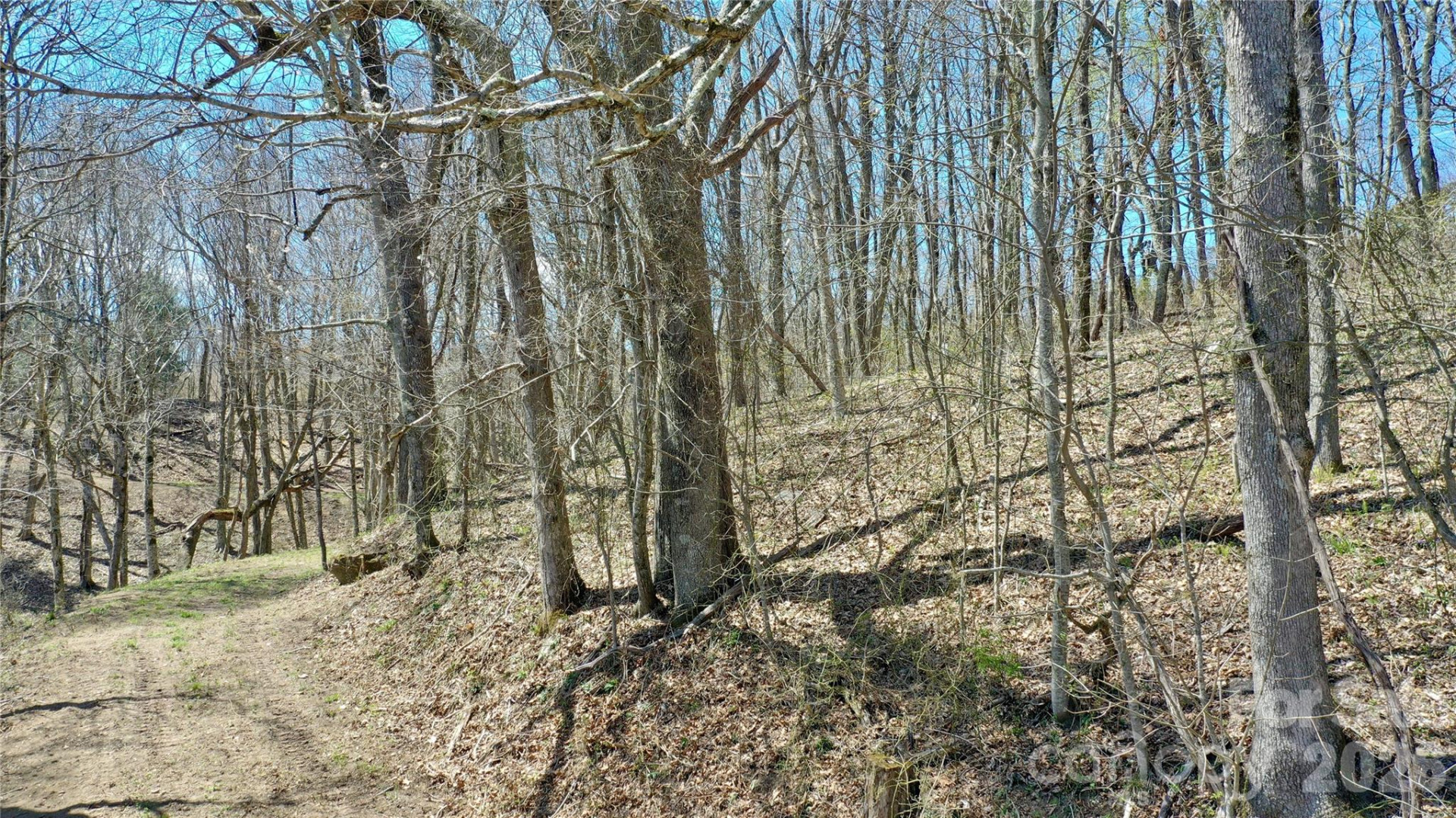 00 Big Ridge Road - Photo 14