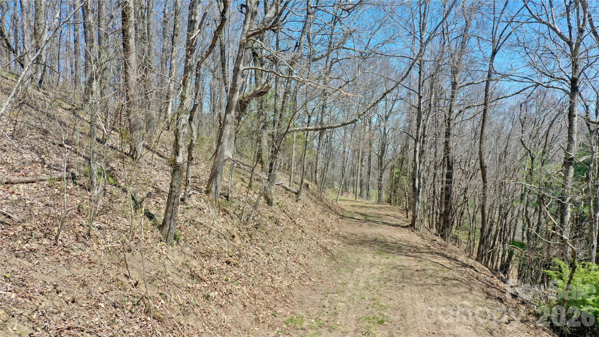 00 Big Ridge Road - Photo 15