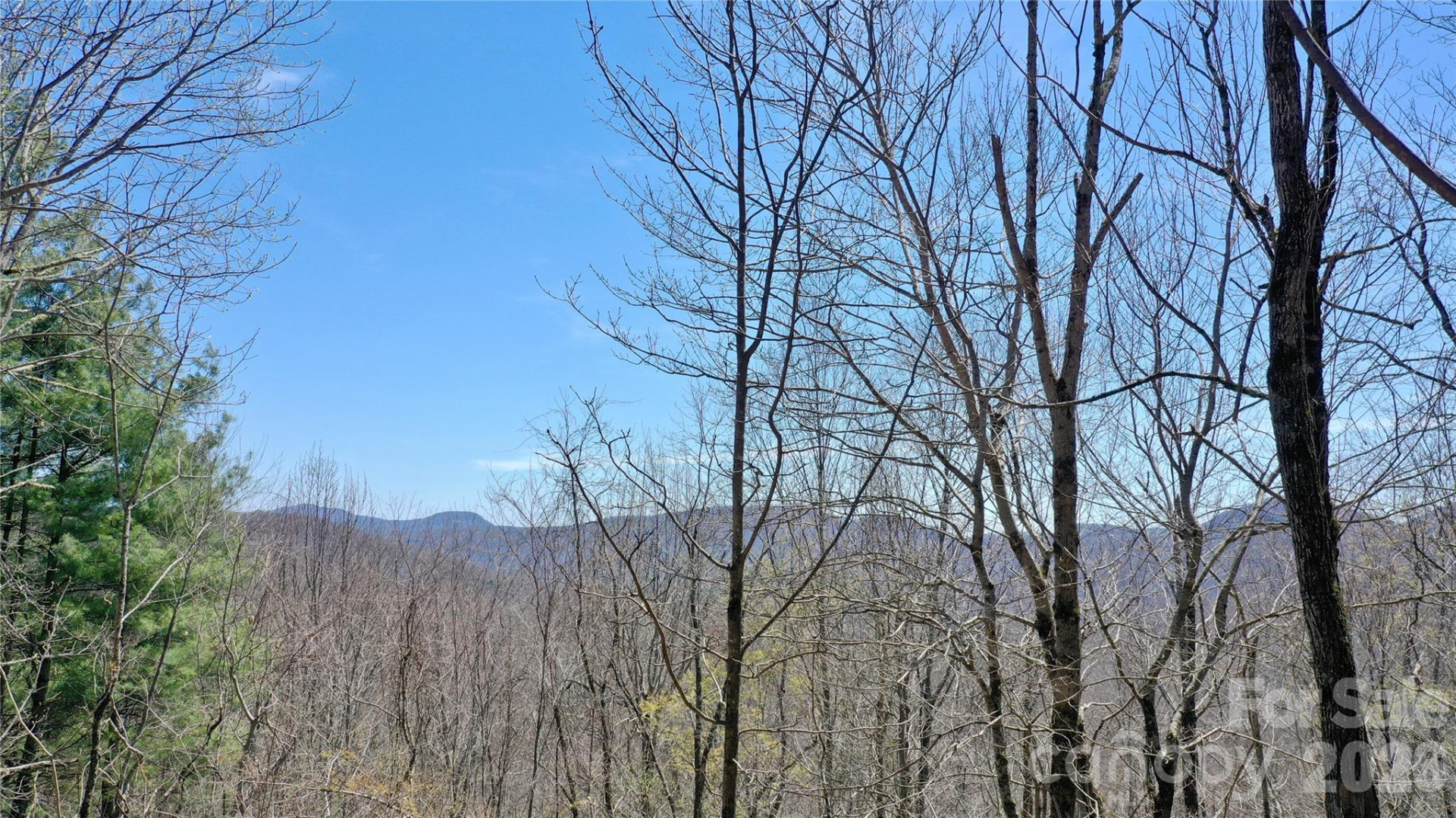 00 Big Ridge Road - Photo 19