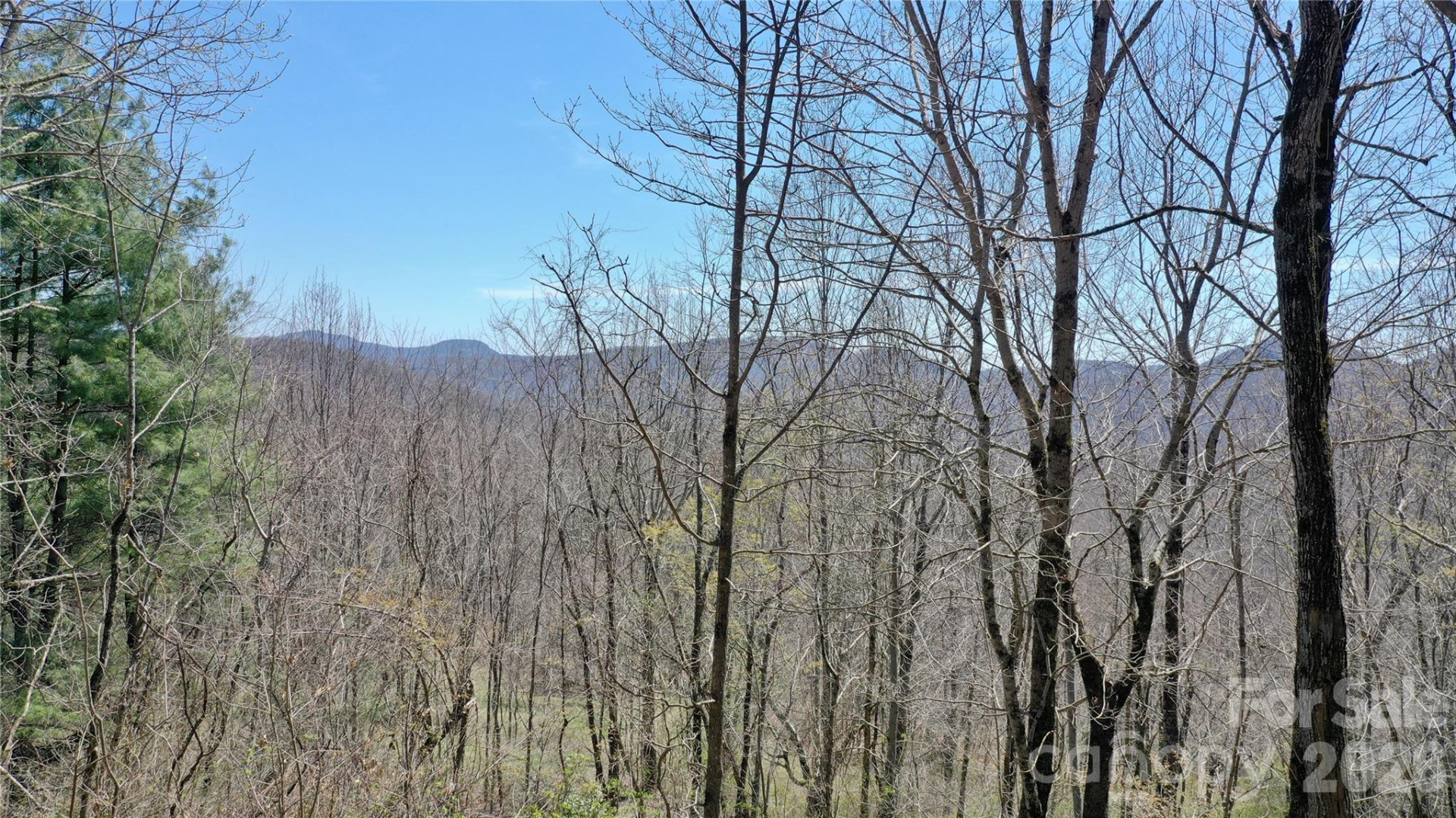 00 Big Ridge Road - Photo 20