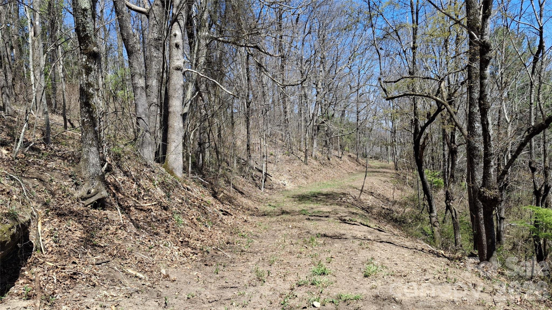 00 Big Ridge Road - Photo 3